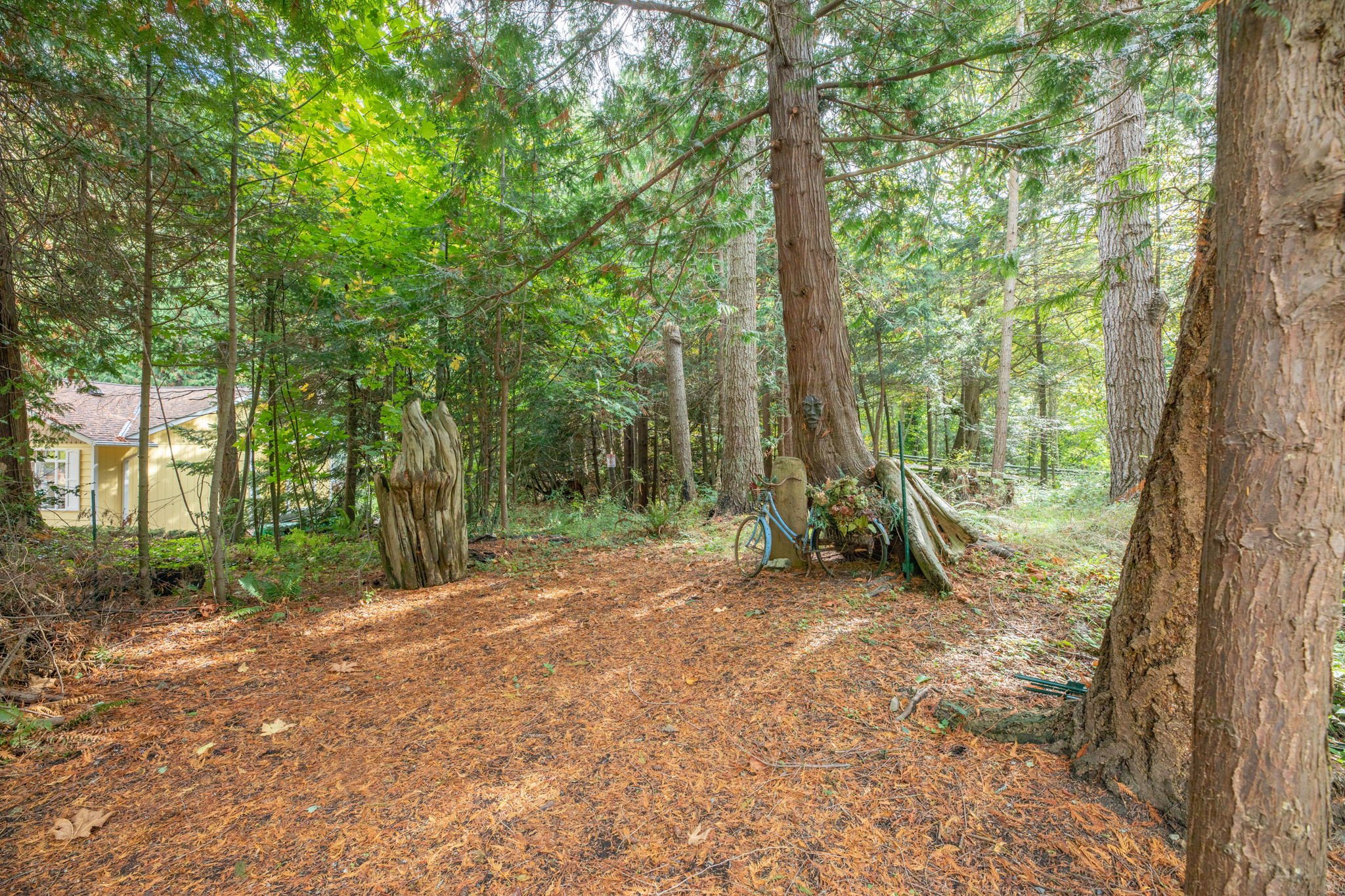 555 Klamath 10-web-or-mls-1V5A7906.jpg