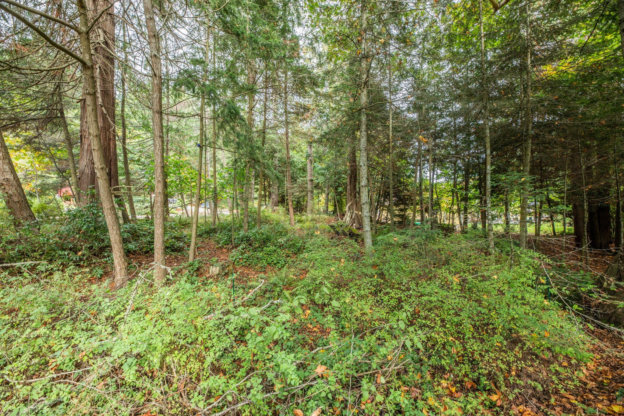 555 Klamath 11-web-or-mls-1V5A7910.jpg