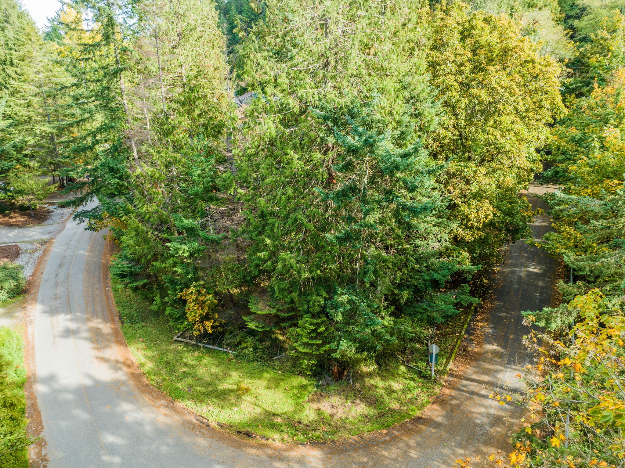 555 Klamath 22-web-or-mls-DJI_0782.jpg