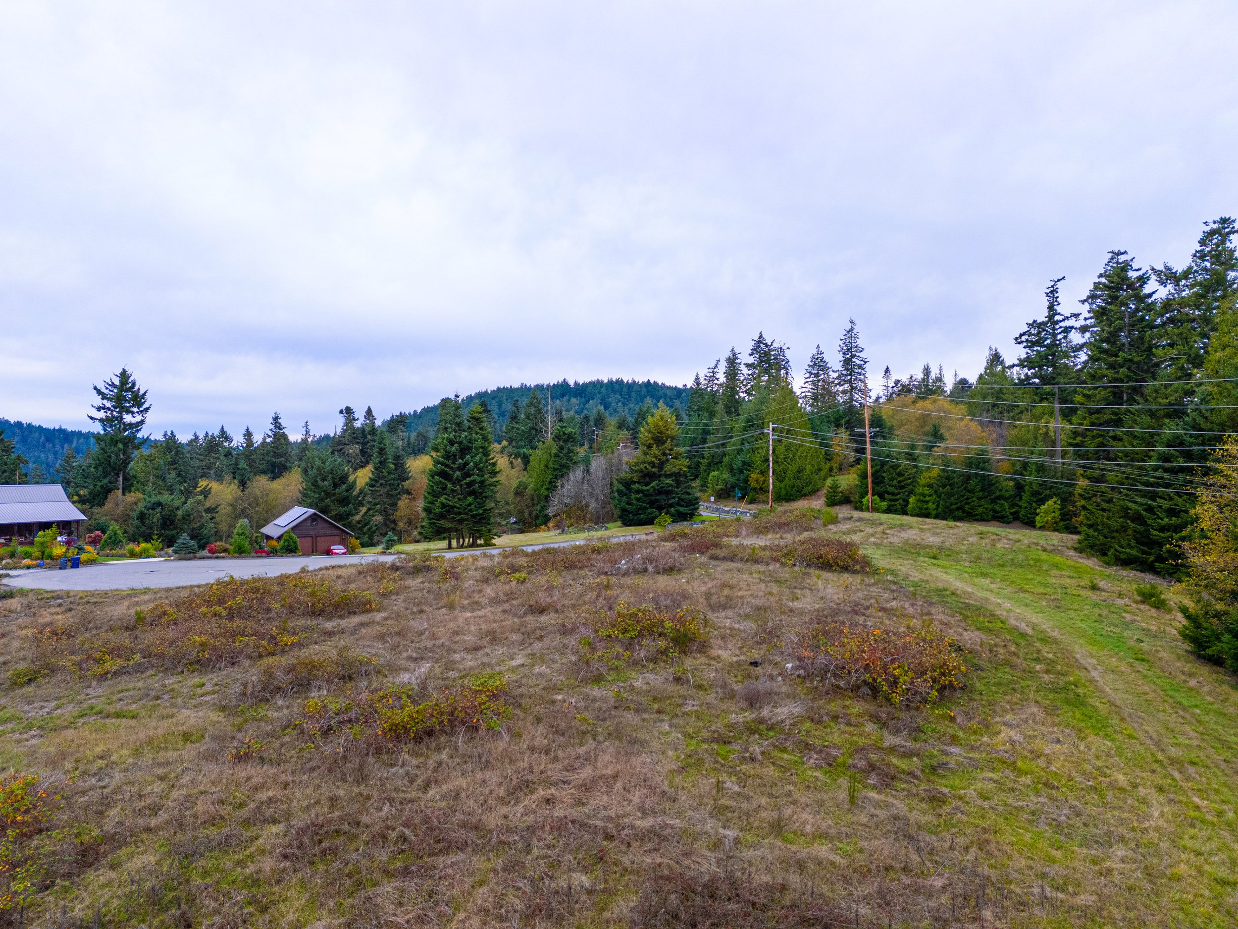 5445 Holman Ct-9.jpg