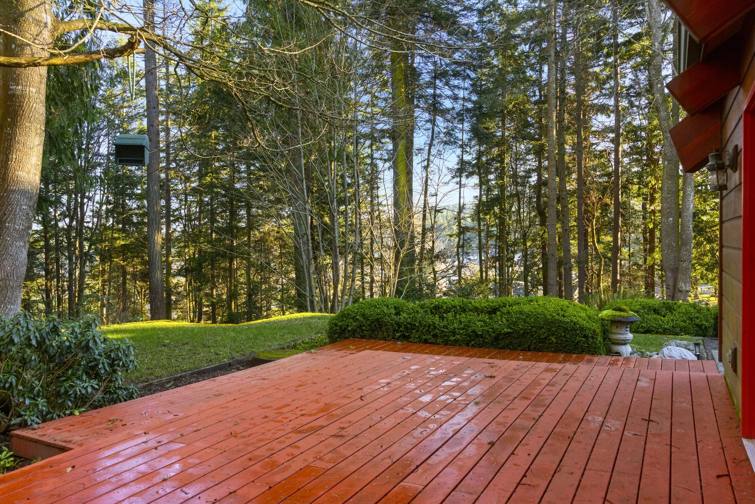 2204 41st st. second shoot-7.jpeg