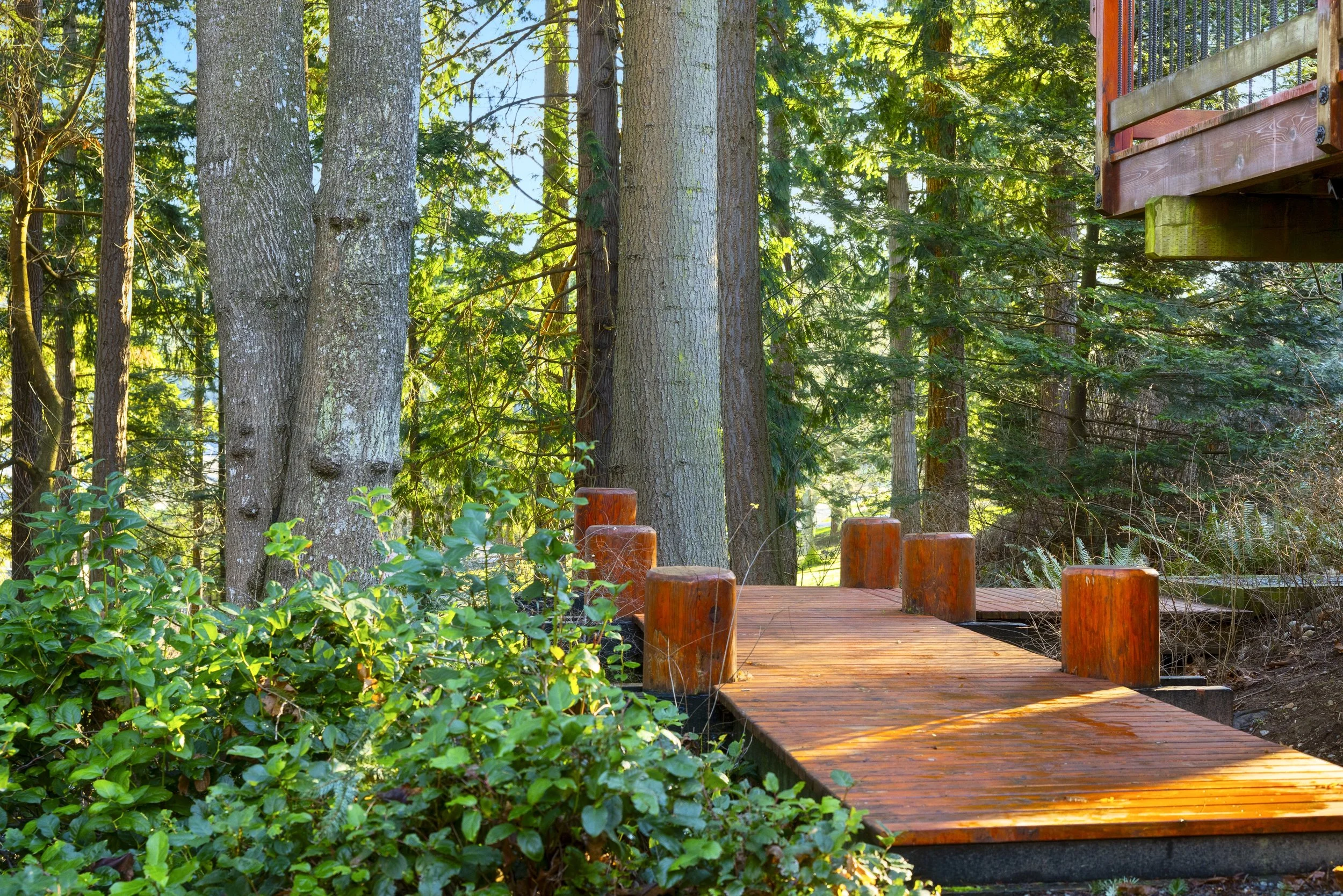 2204 41st st. second shoot-21.jpeg