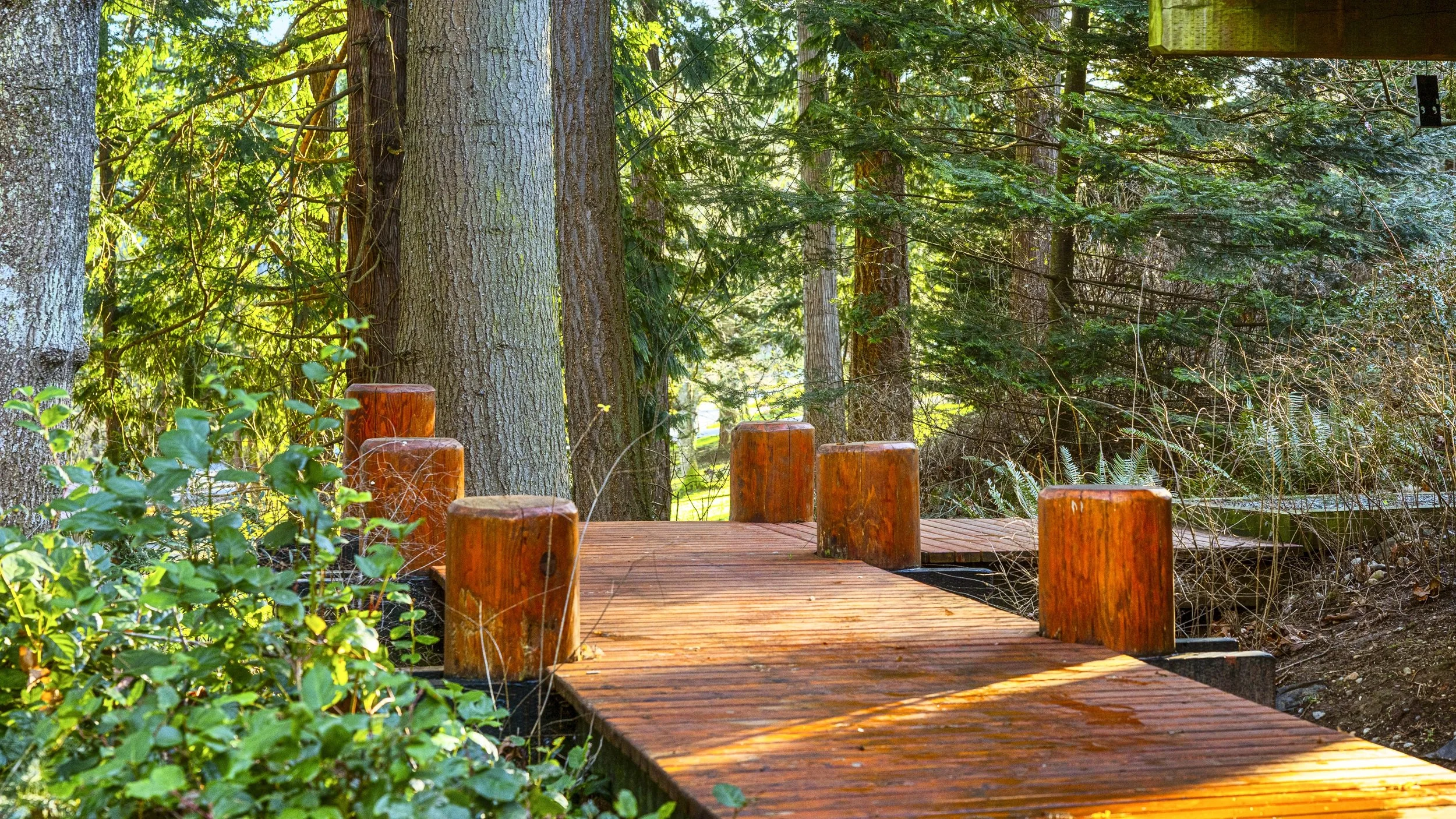 2204 41st st. second shoot-22.jpeg