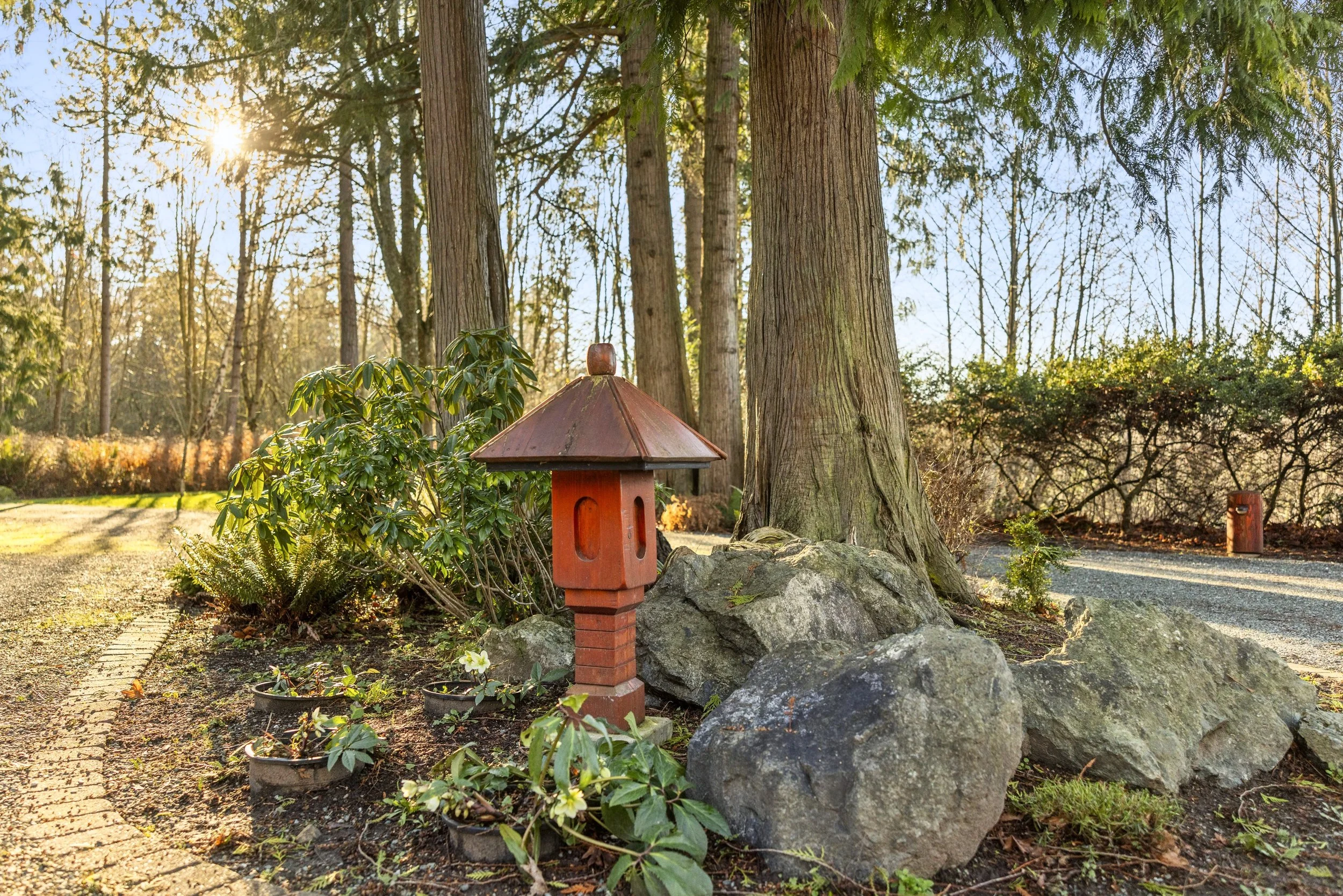 2204 41st st. second shoot-30.jpeg