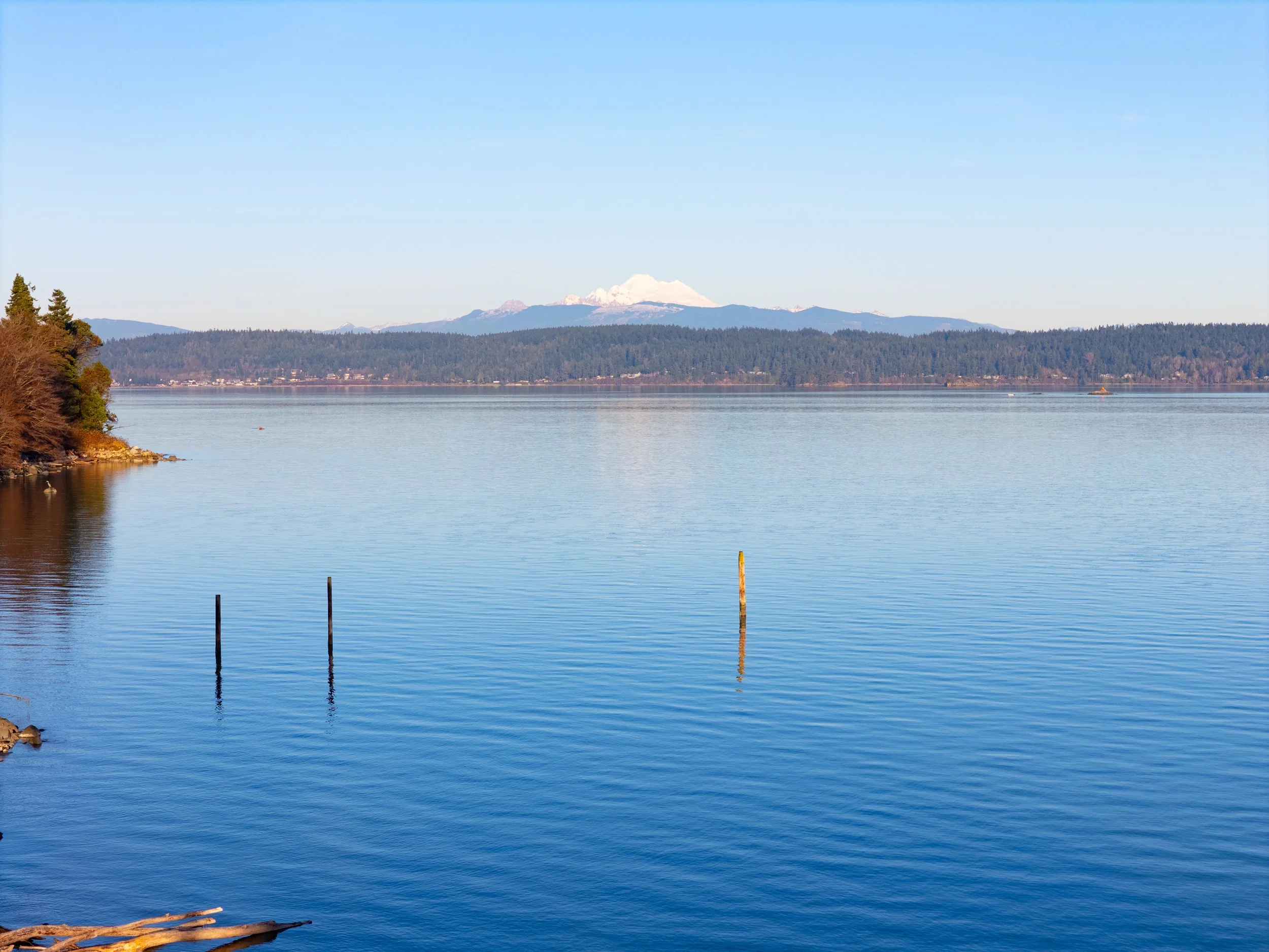 453 Jackrabbit Ln exterior-25.jpg