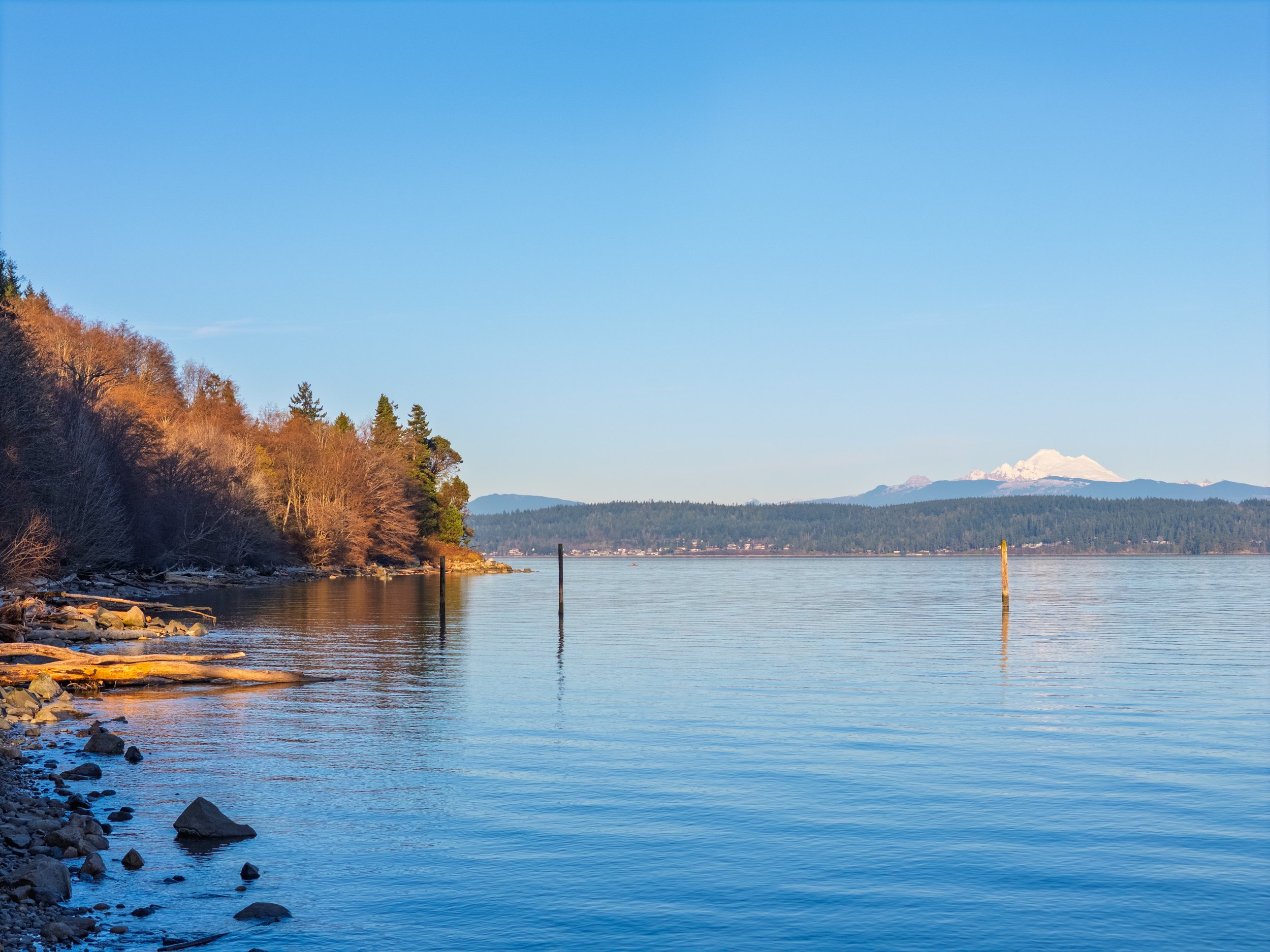 453 Jackrabbit Ln exterior-26.jpg