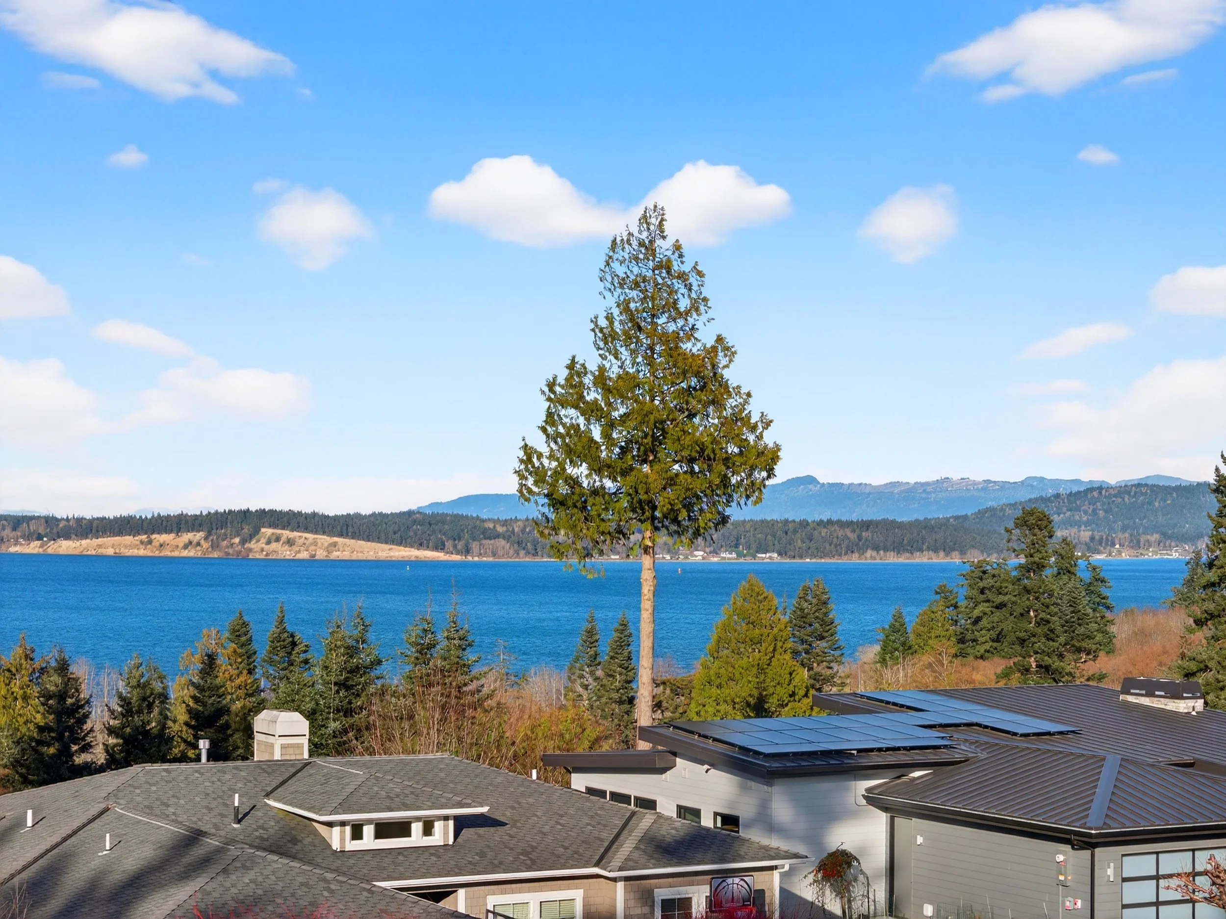 2810 Grady DJI_20260219153629_0166_D.jpg