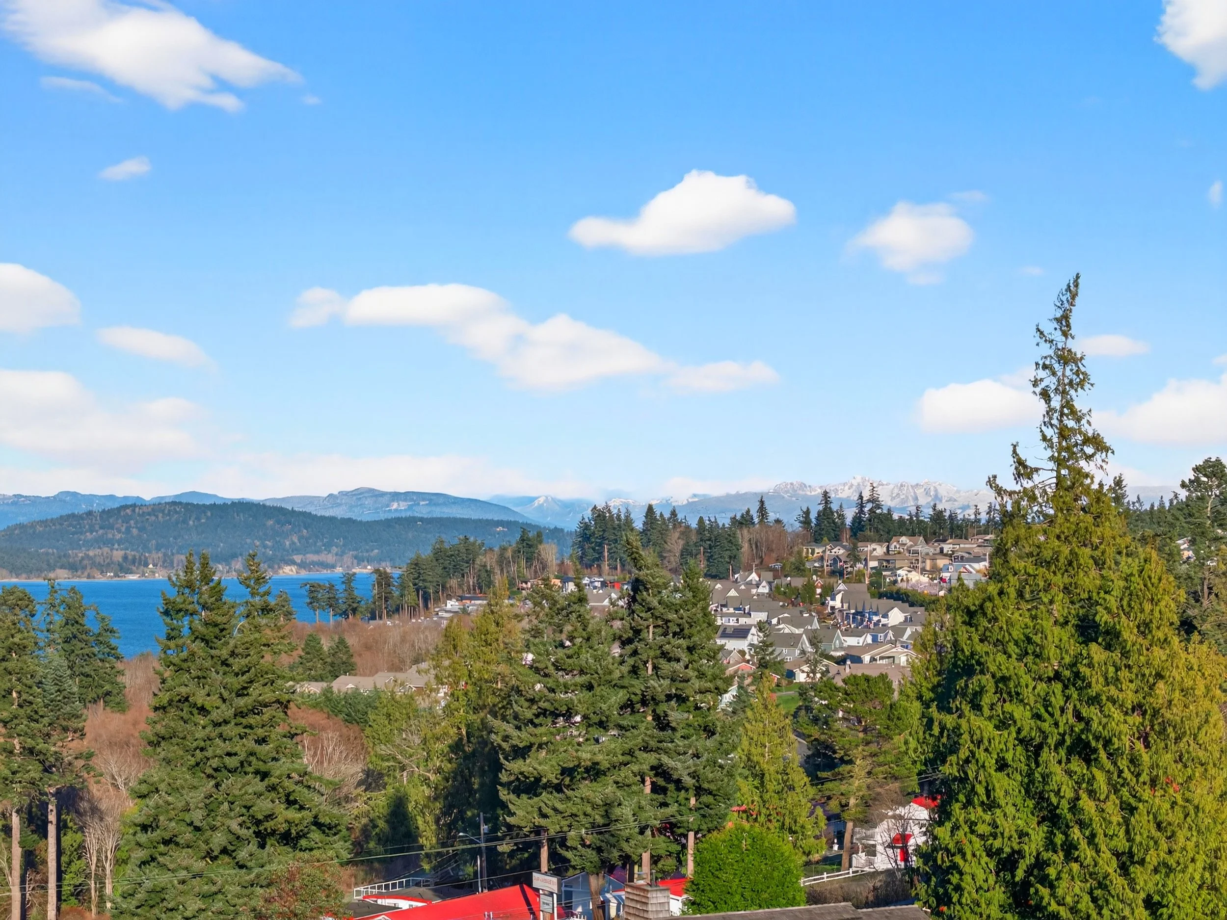 2810 Grady DJI_20260219153705_0173_D.jpg