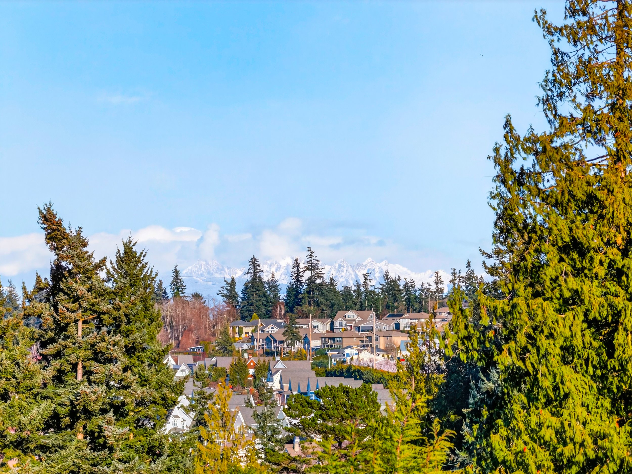 2810 Grady DJI_20260219153821_0181_D.jpg