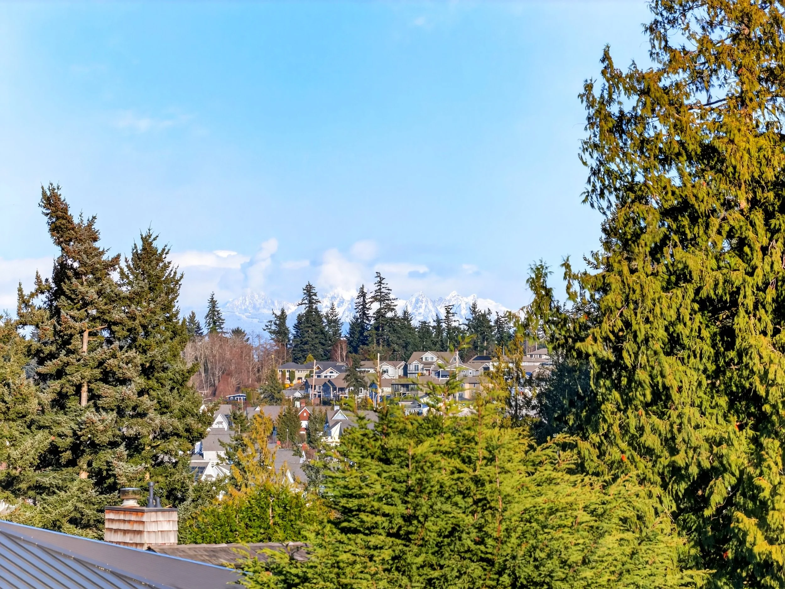 2810 Grady DJI_20260219153915_0188_D copy.jpg