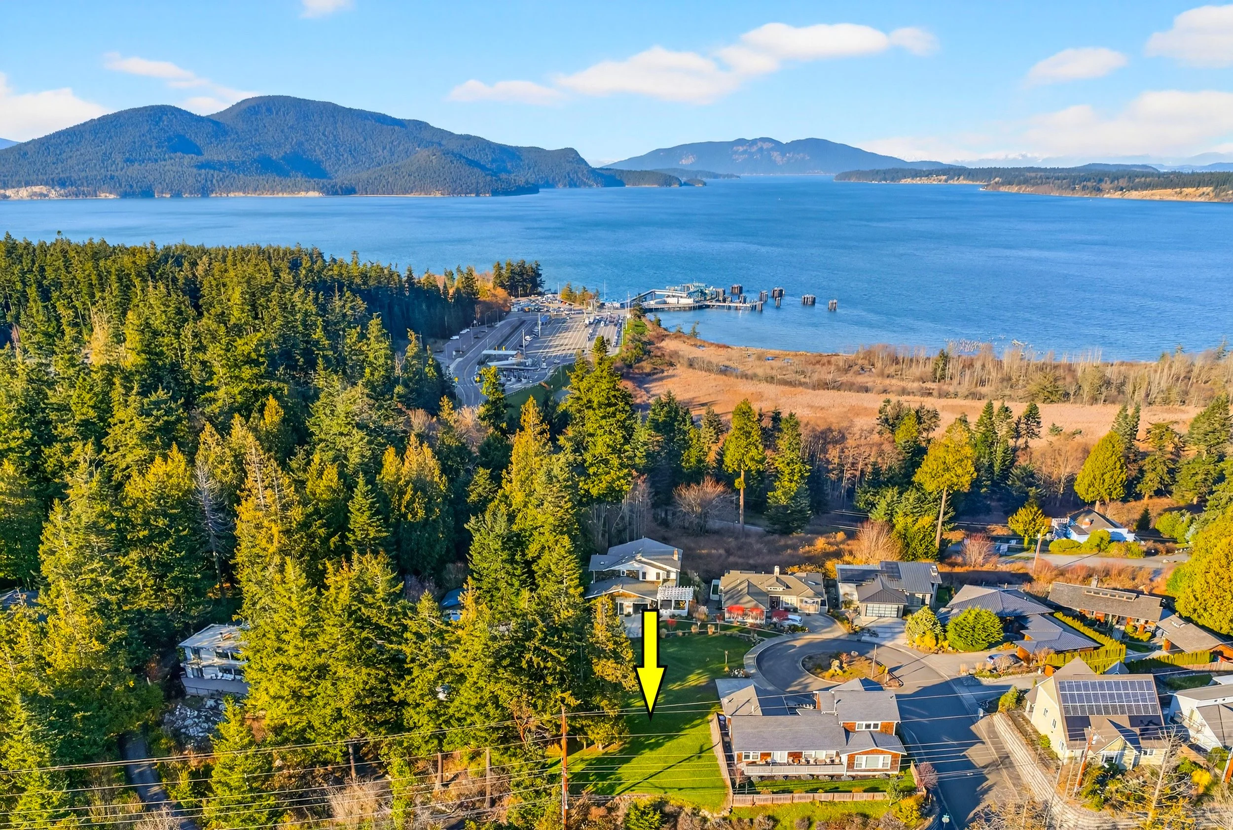 2810 Grady DJI_20260219154104_0231_D copy.jpg