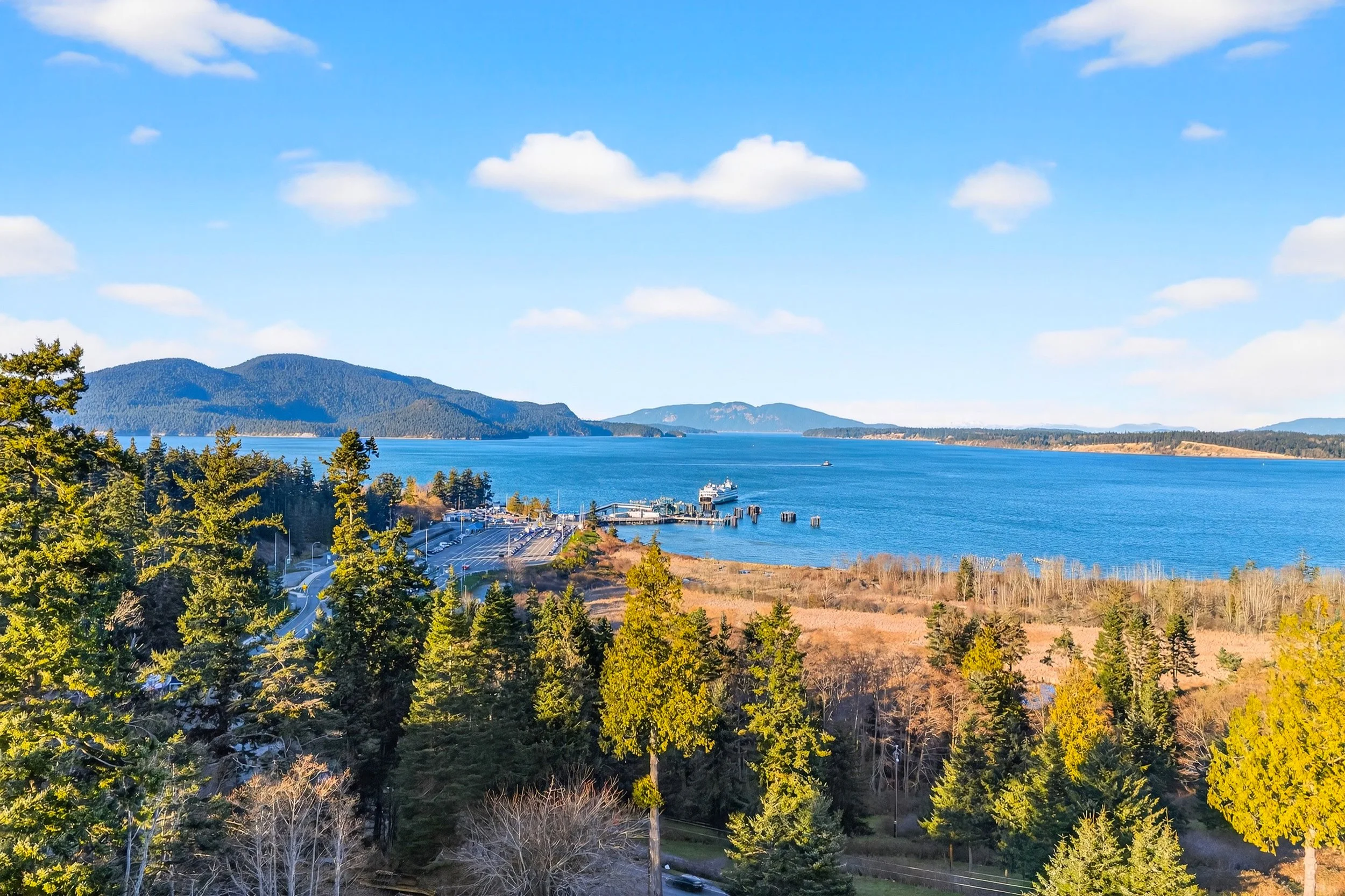 2810 Grady DJI_20260219155039_0284_D.jpg