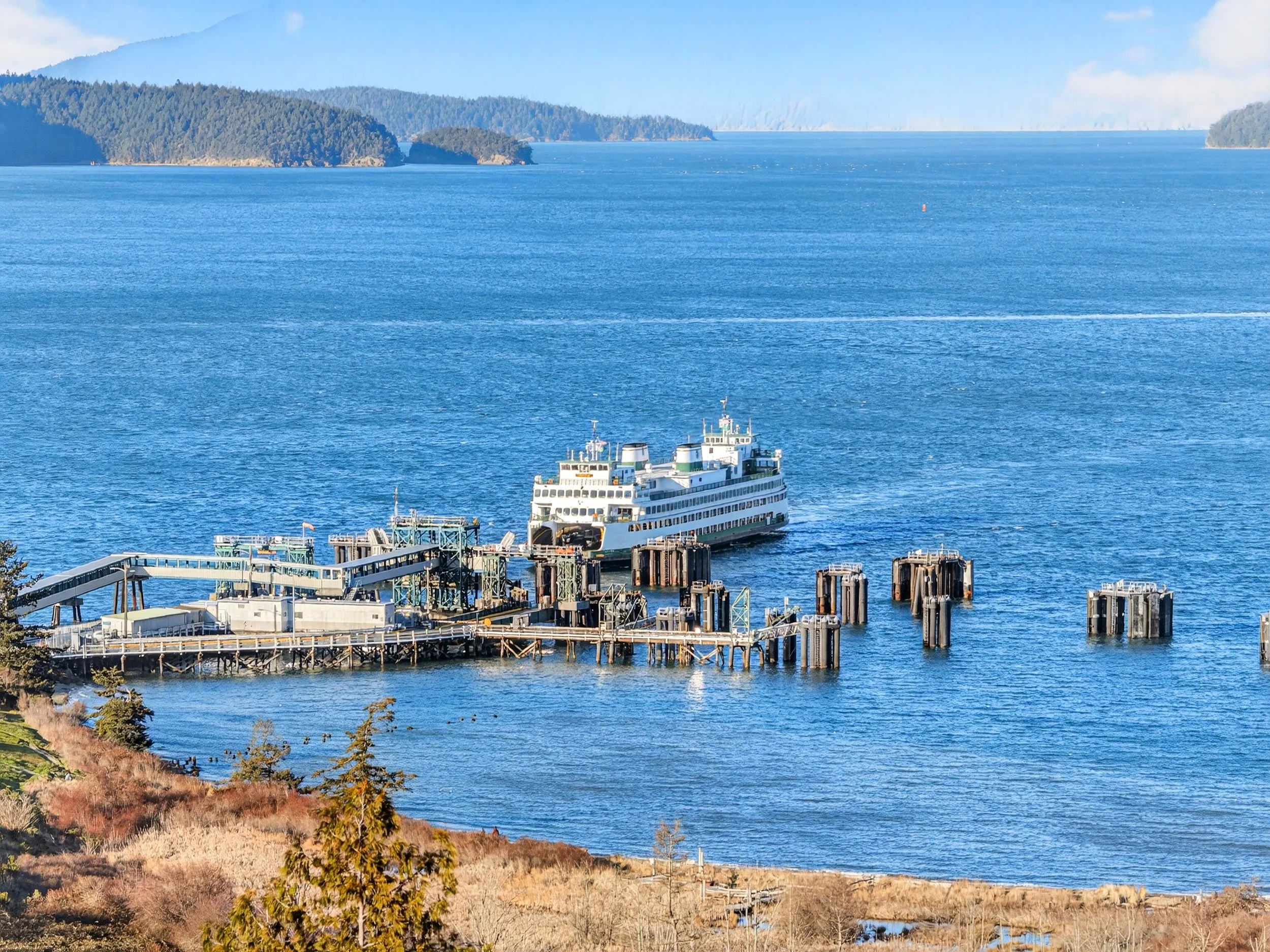 2810 Grady DJI_20260219155052_0286_D.jpg