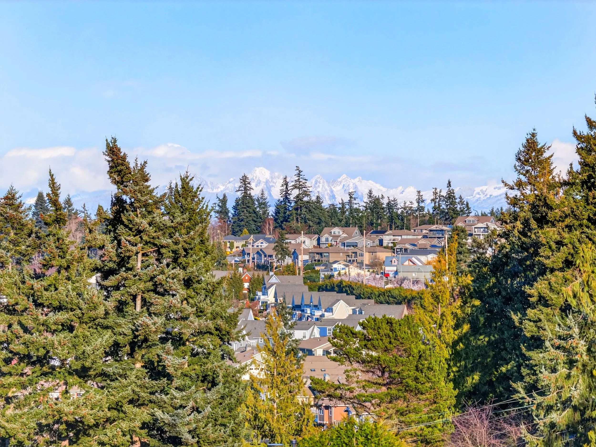 2810 Grady DJI_20260219155121_0291_D-2.jpg