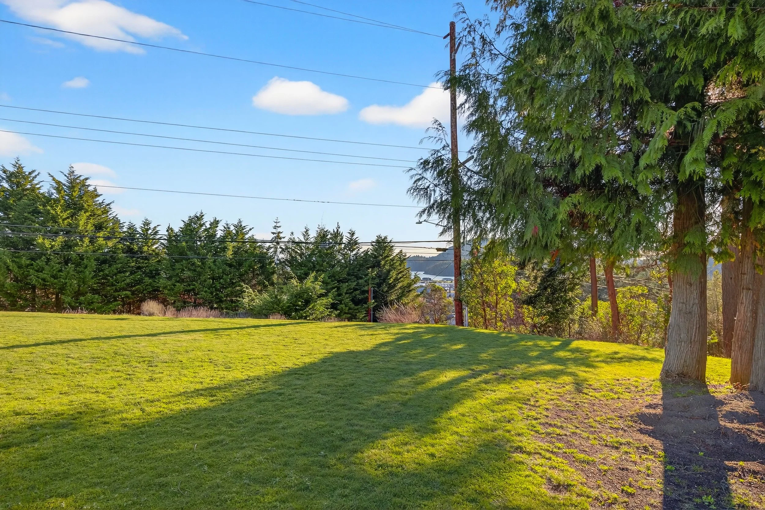 2810 Grady ED3A5262.jpg