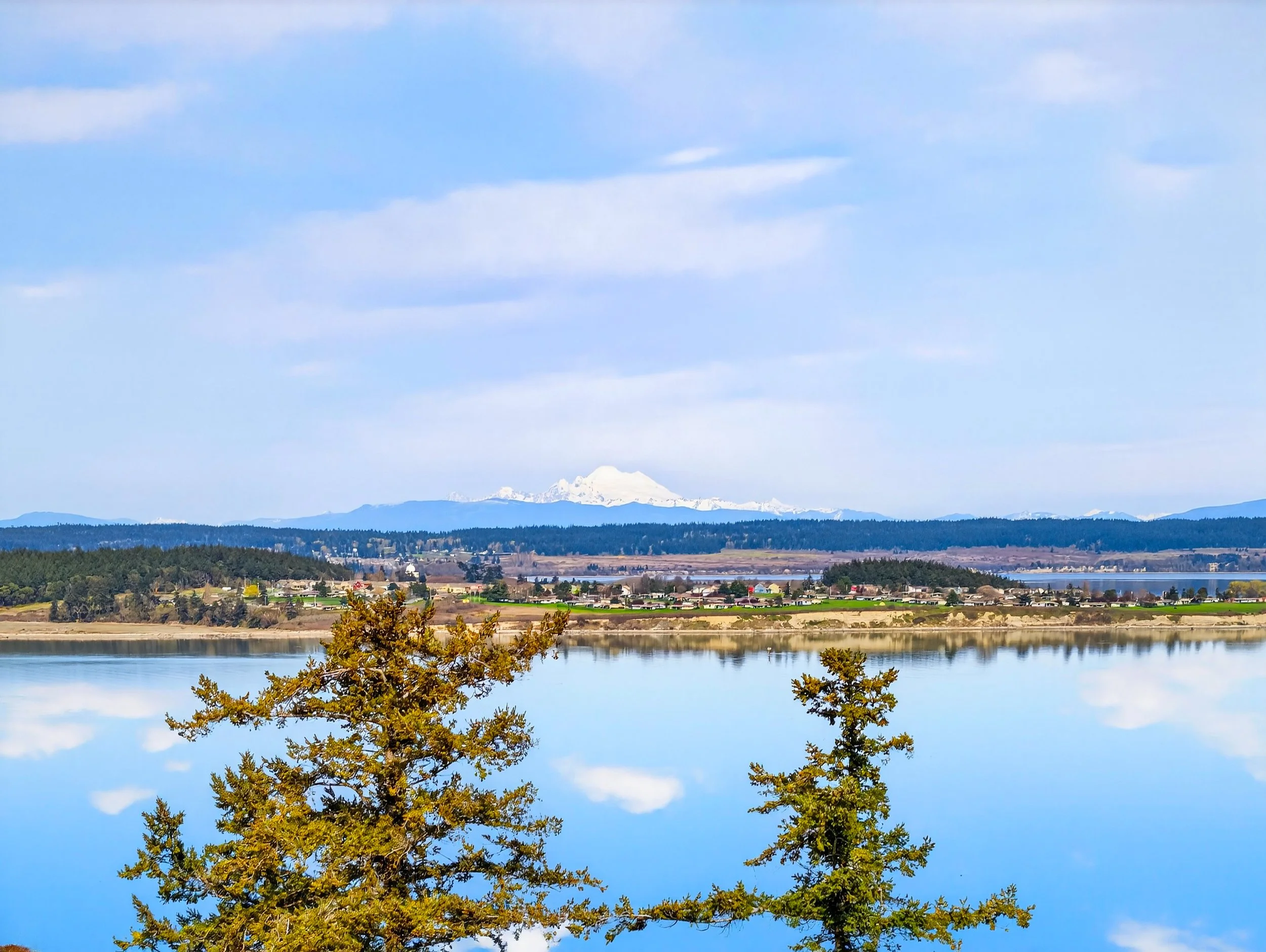 1350 Bonnie View Acres-11.jpg