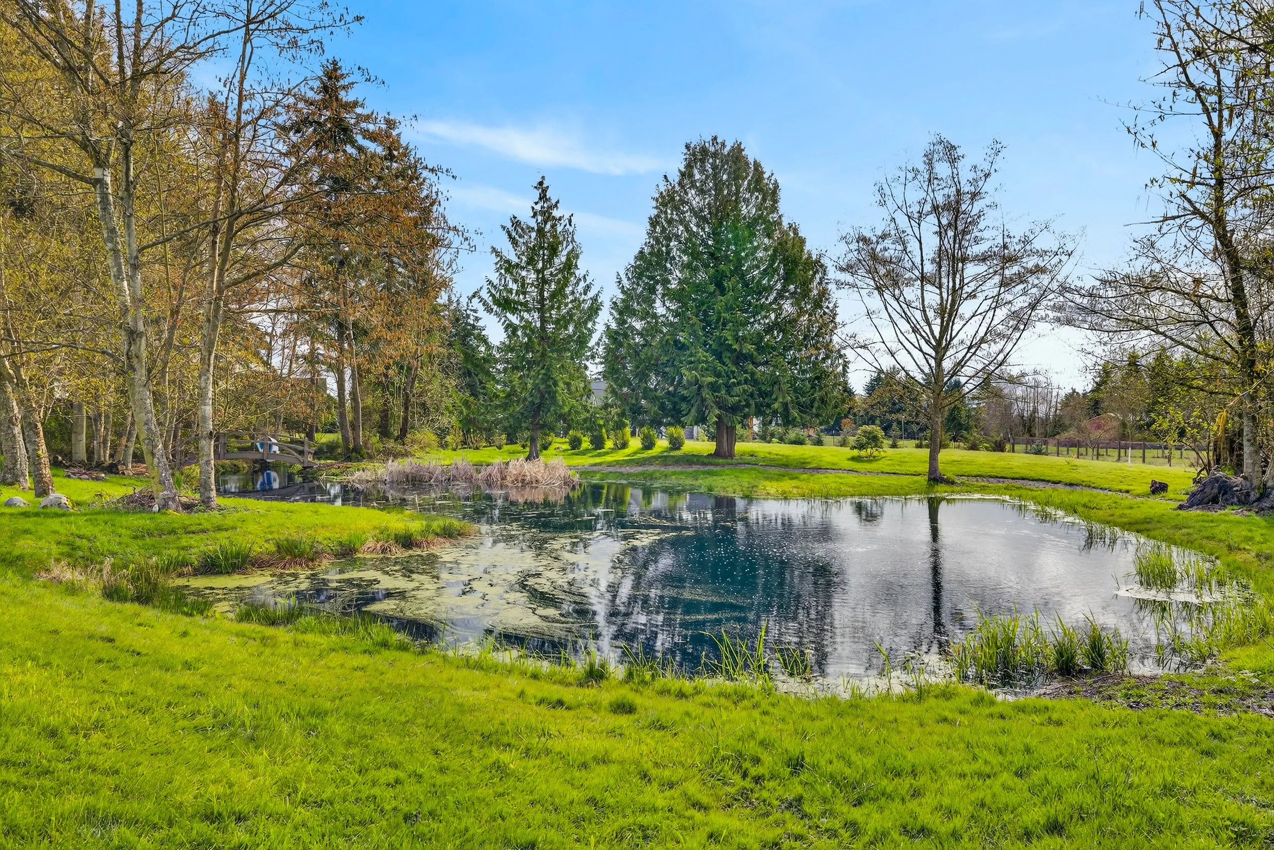 13393 Rector Rd-101.jpg