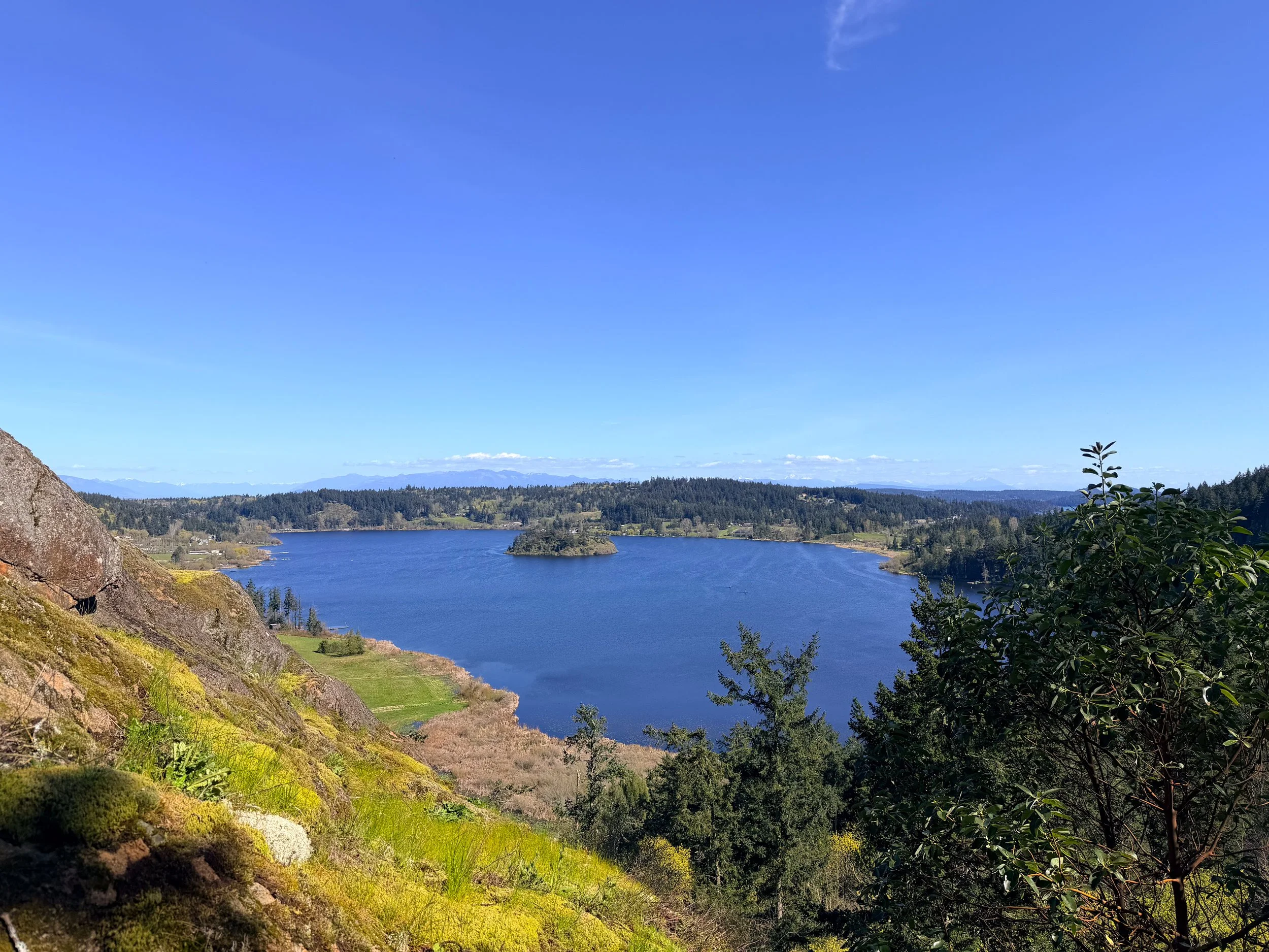 13998 Donnell Rd bluff.jpg