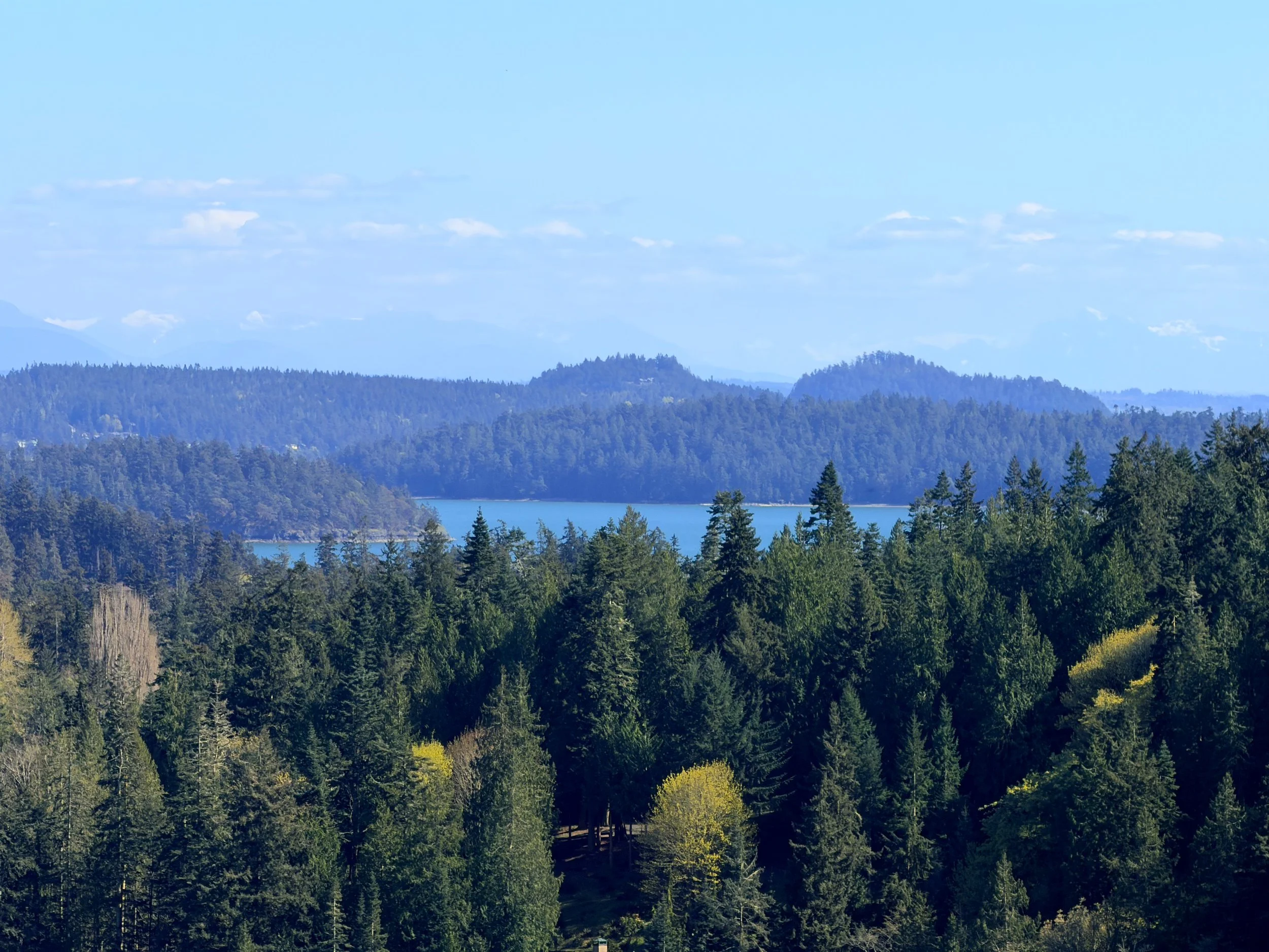 13998 Donnell Rd bluff-17.jpg