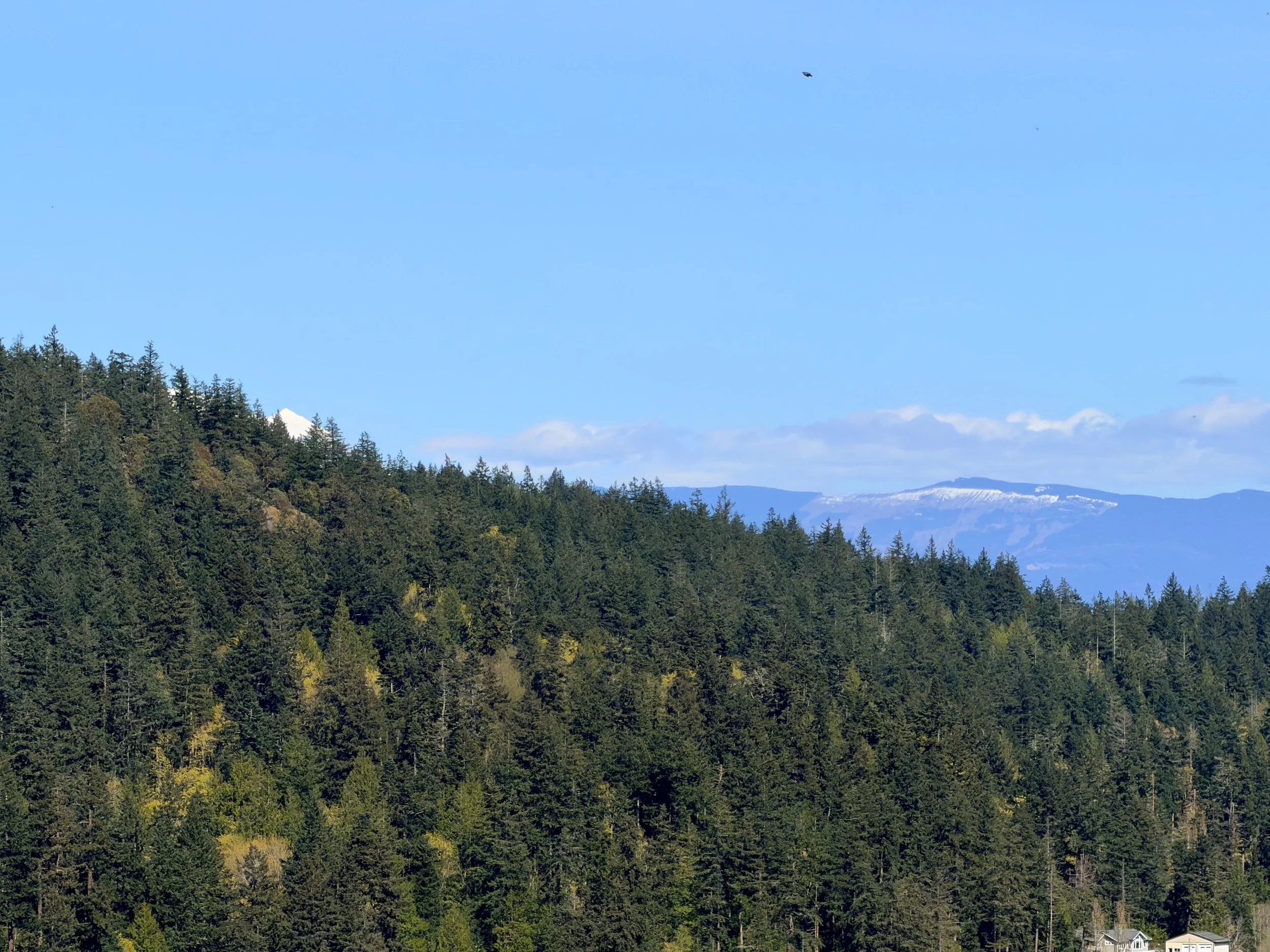 13998 Donnell Rd bluff-20.jpg