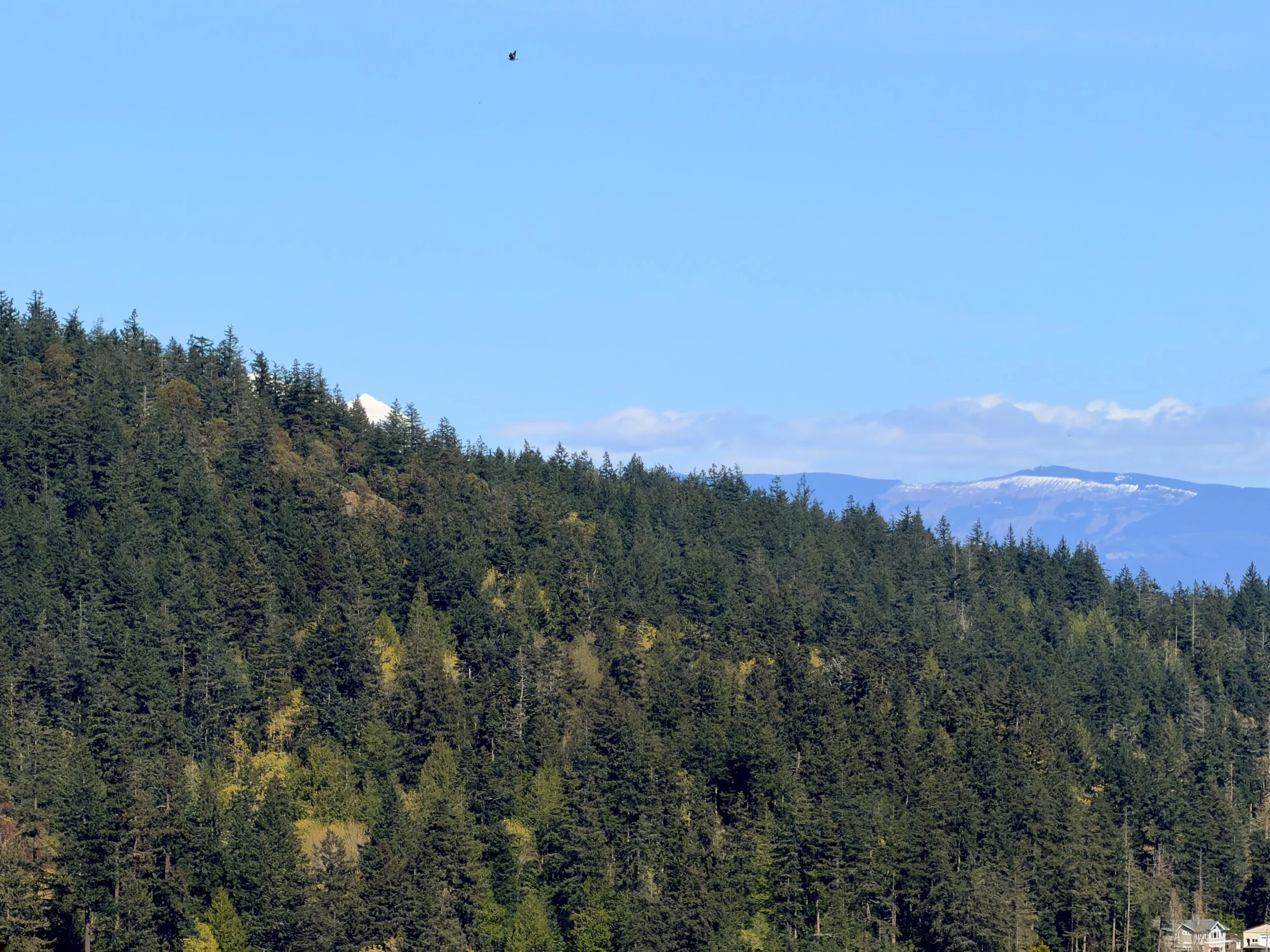 13998 Donnell Rd bluff-21.jpg