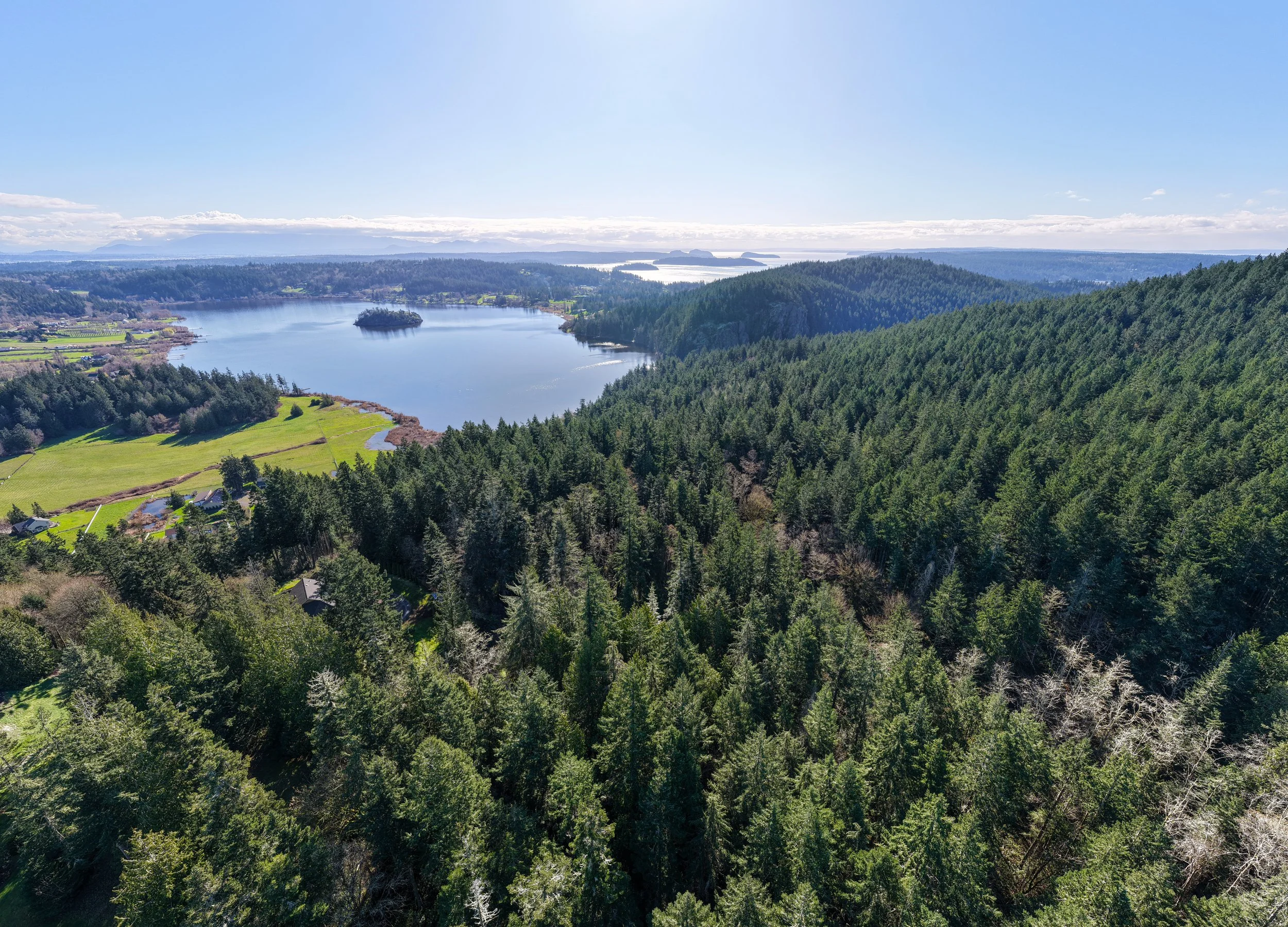 13998 Donnell Rd- P19377-15.jpg