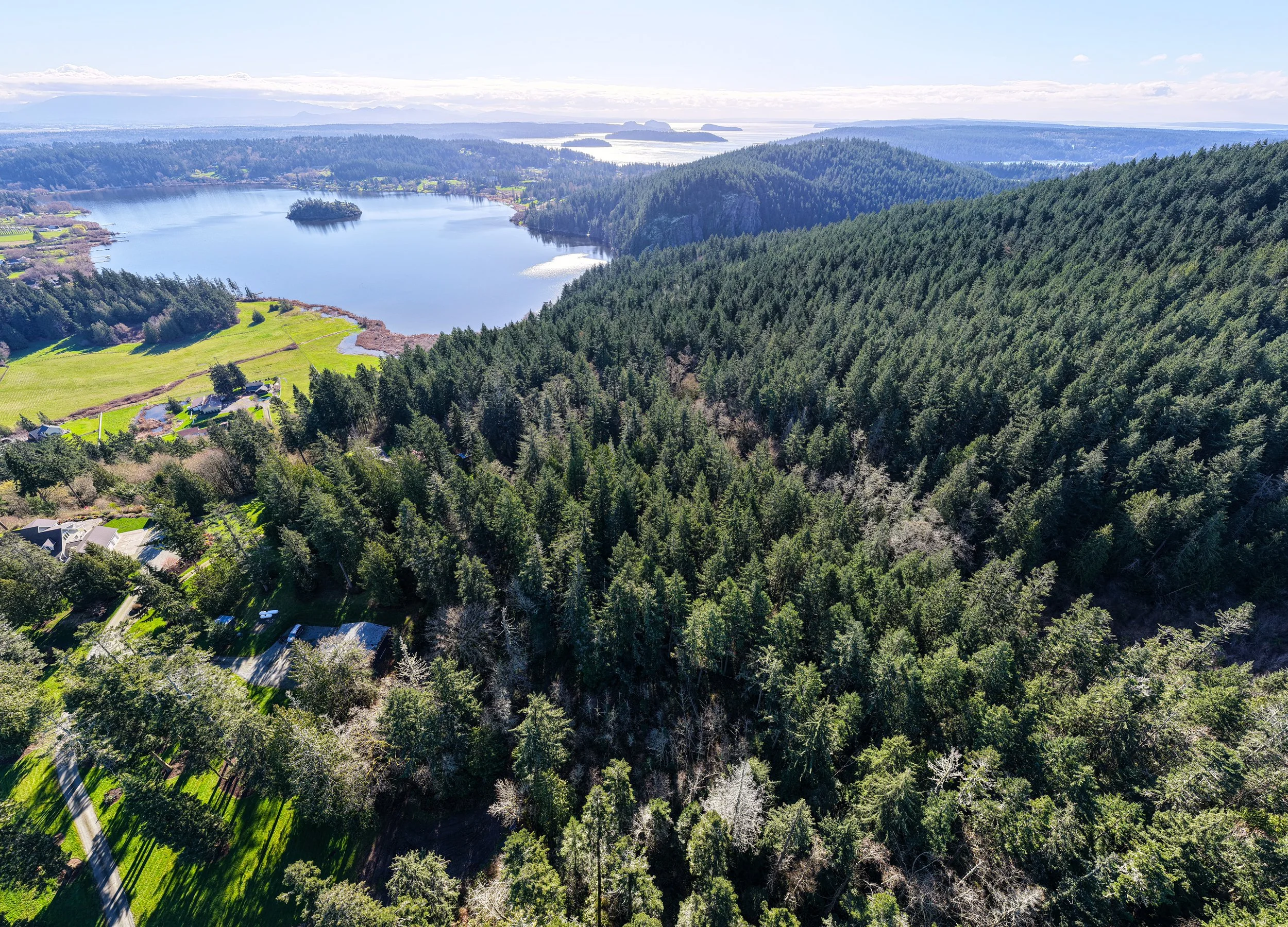 13998 Donnell Rd- P19377-17.jpg