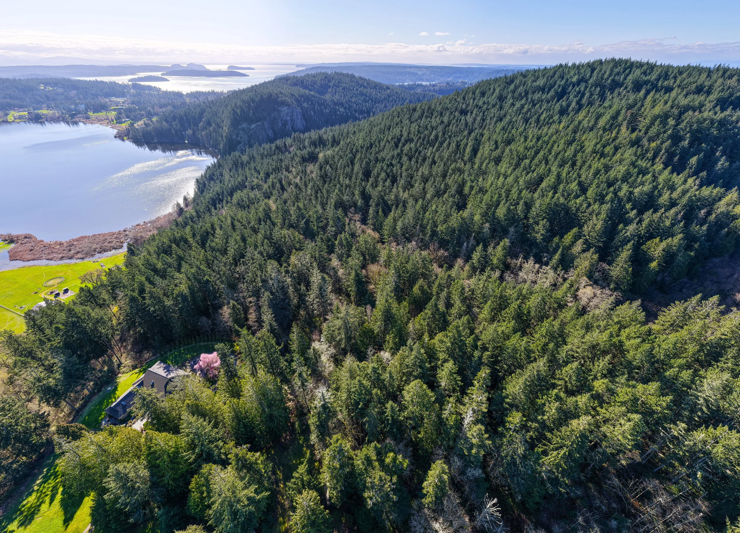 13998 Donnell Rd- P19377-21.jpg