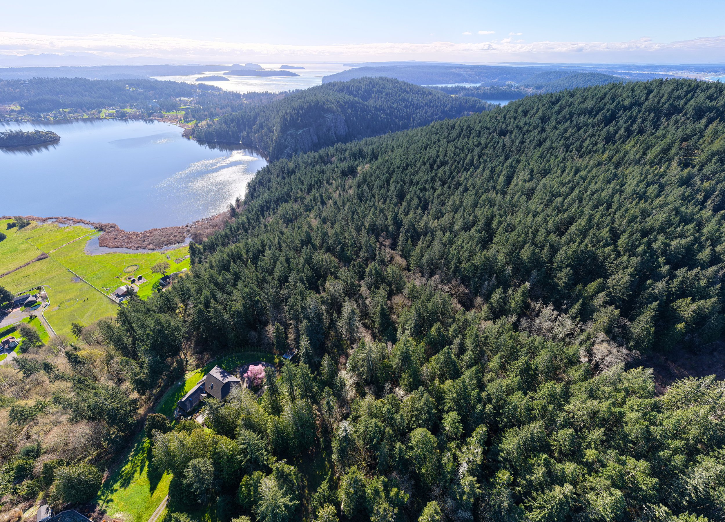 13998 Donnell Rd- P19377-22.jpg