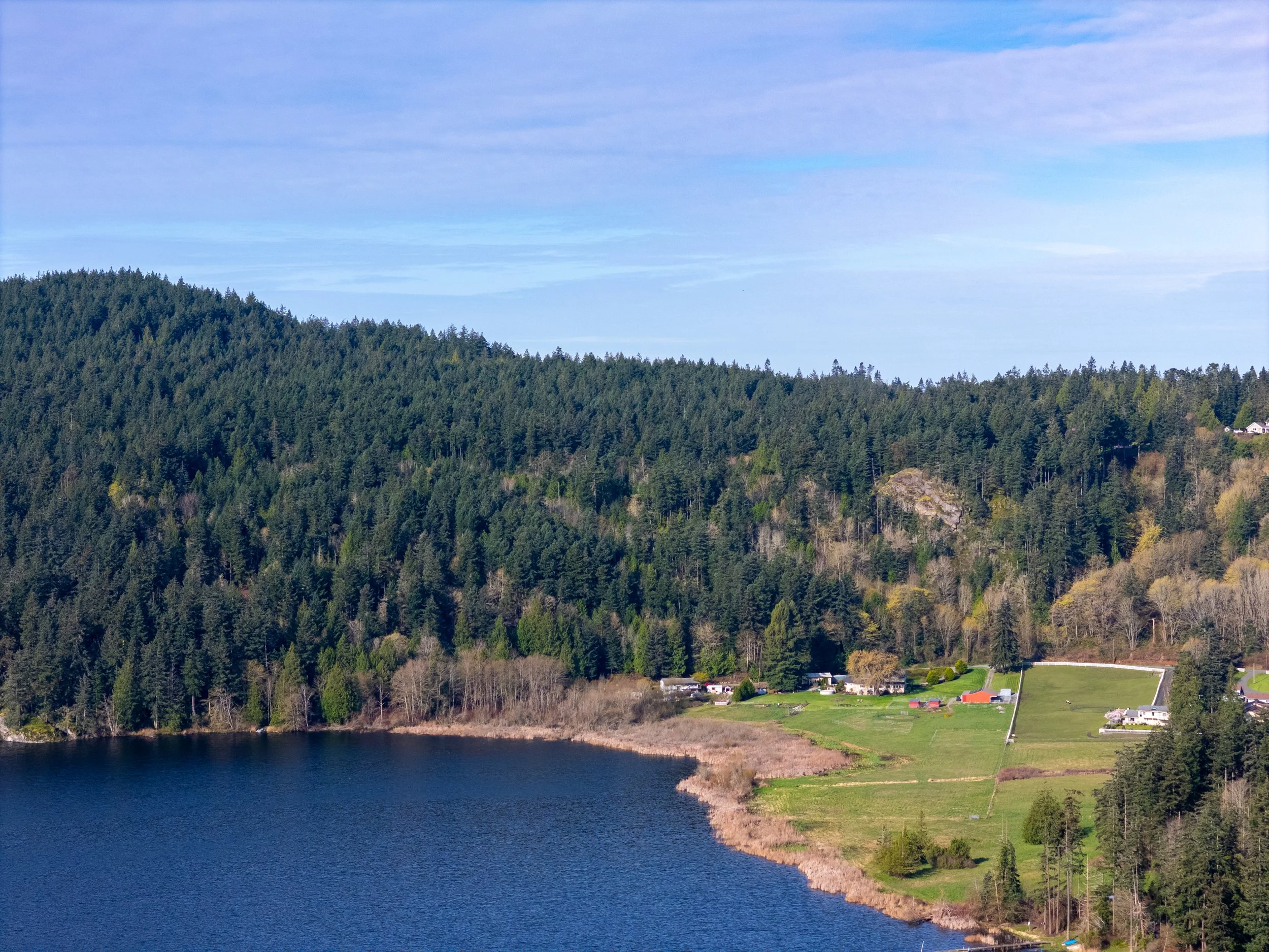 13998 Donnell Rd-4.jpg