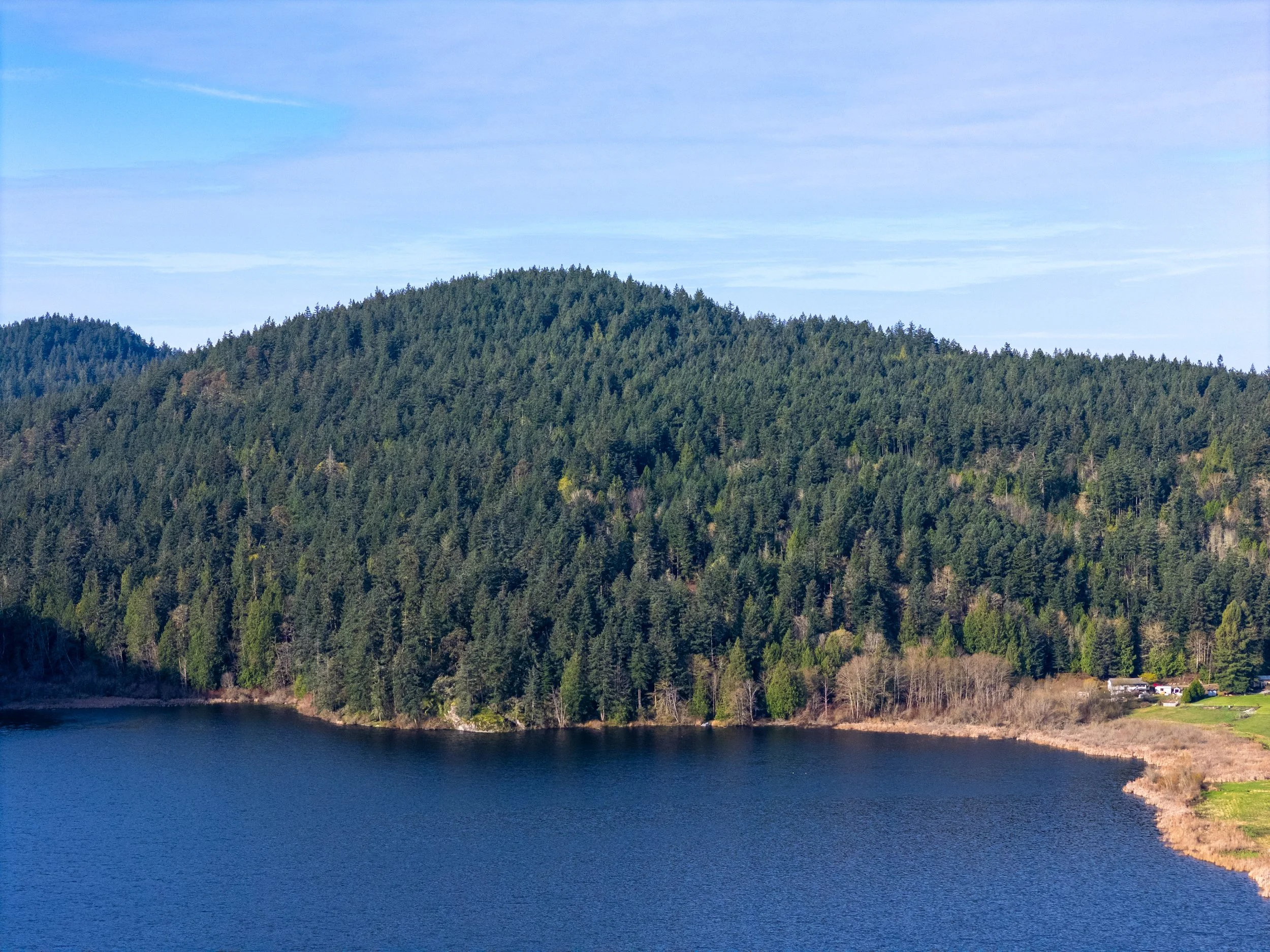 13998 Donnell Rd-5.jpg