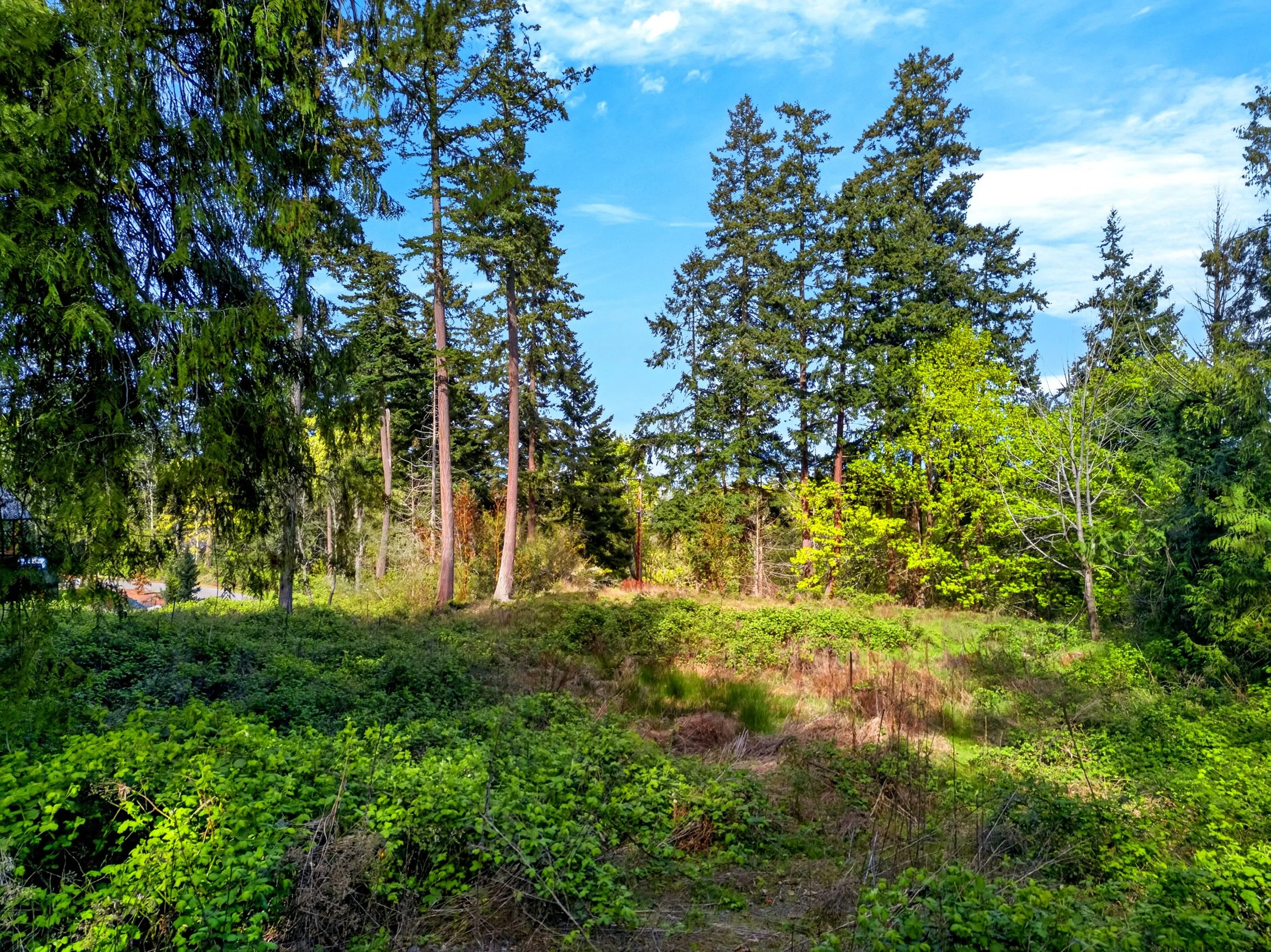 11927 madrona ridge place.jpg