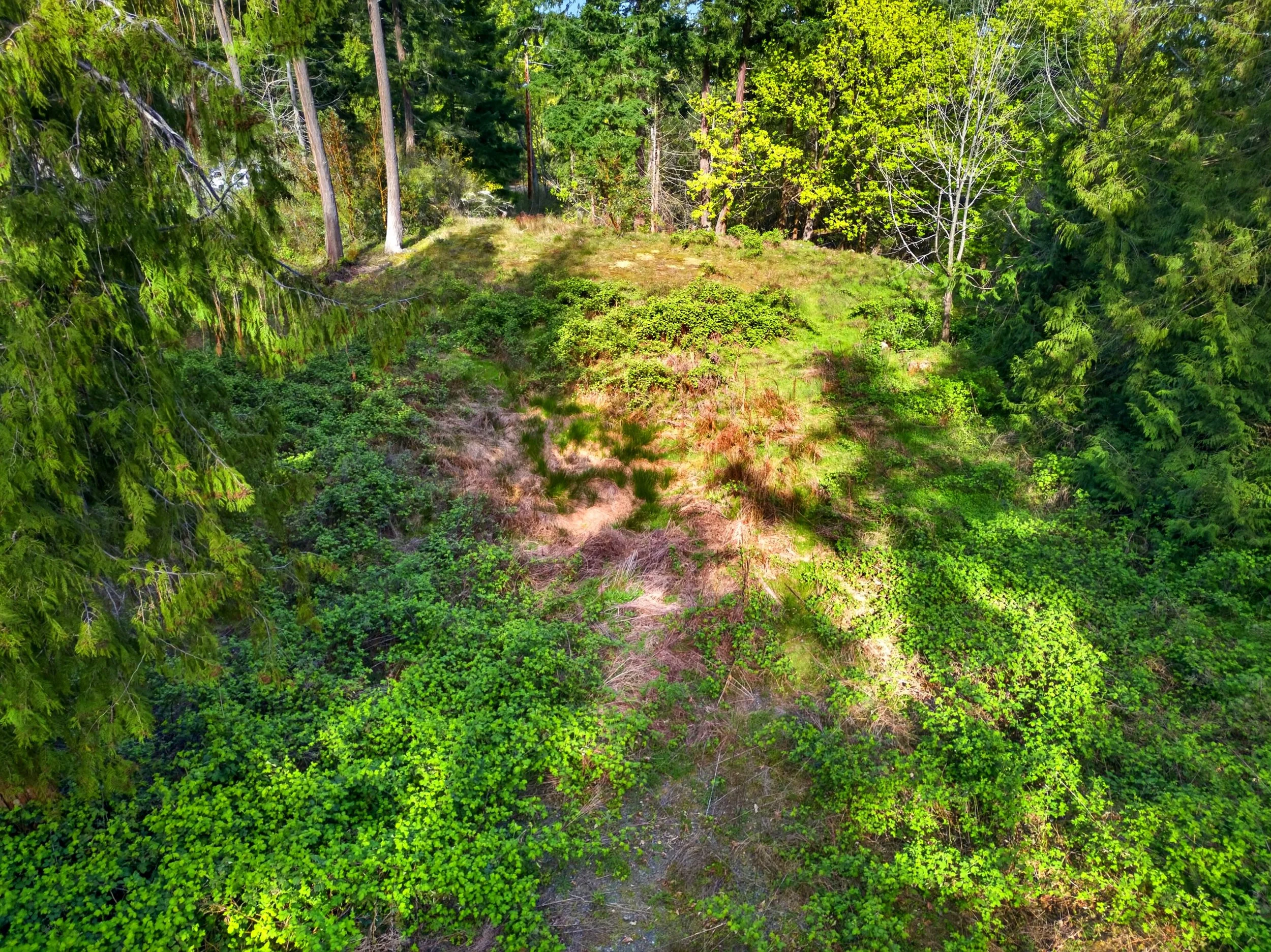 11927 madrona ridge place-2.jpg