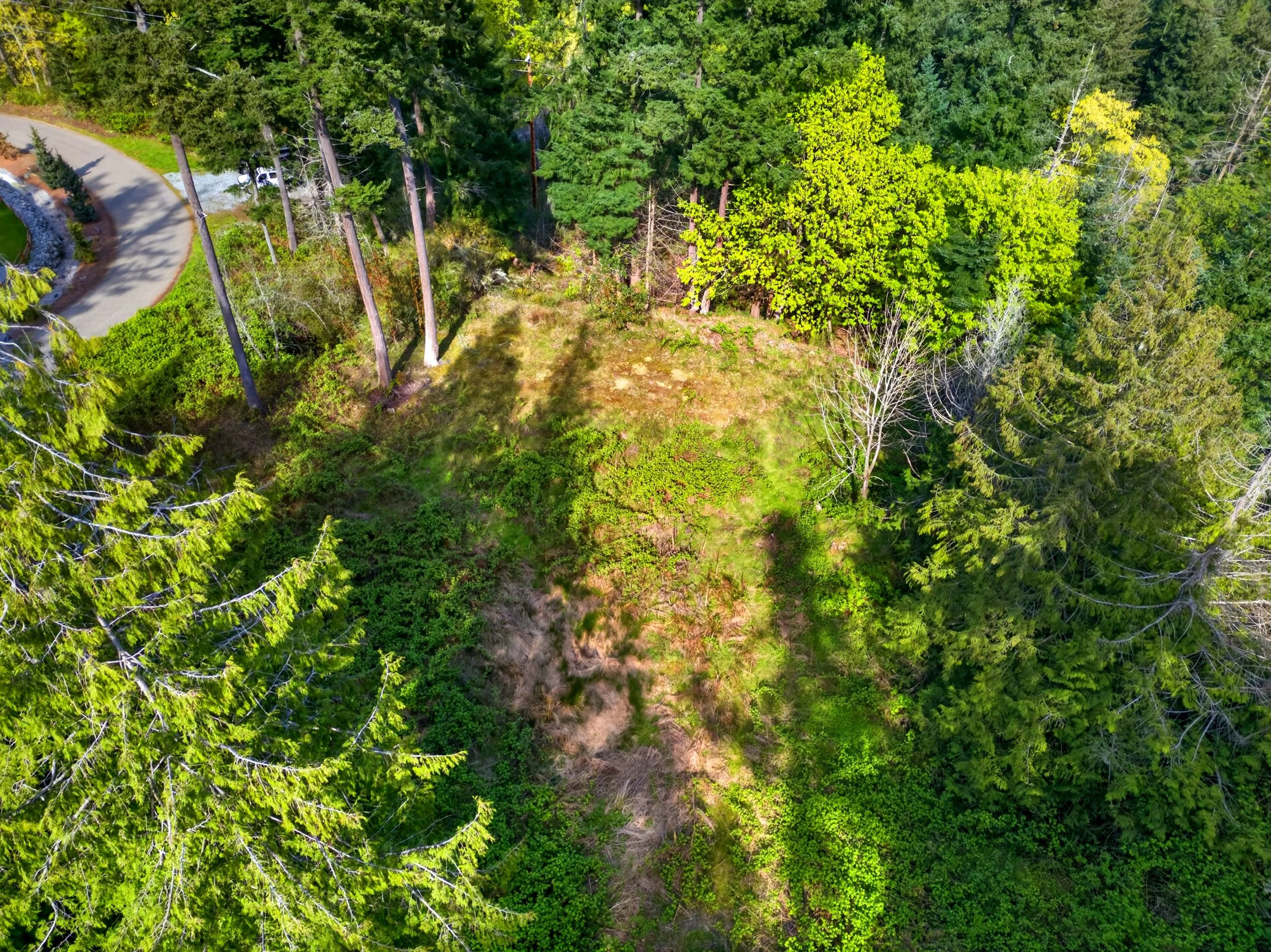 11927 madrona ridge place-3.jpg