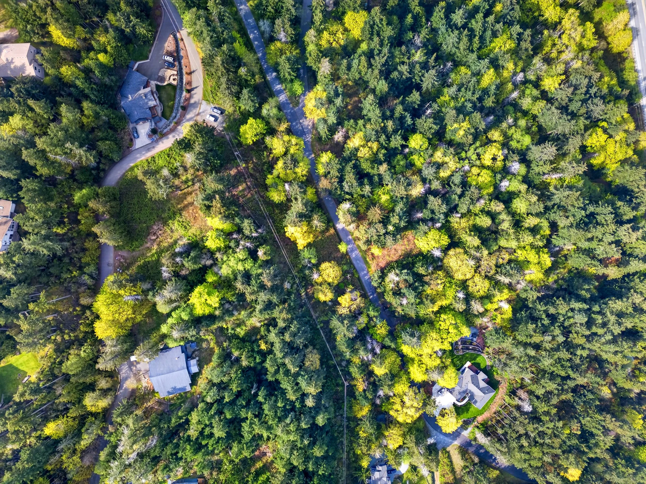 11927 madrona ridge place-4.jpg