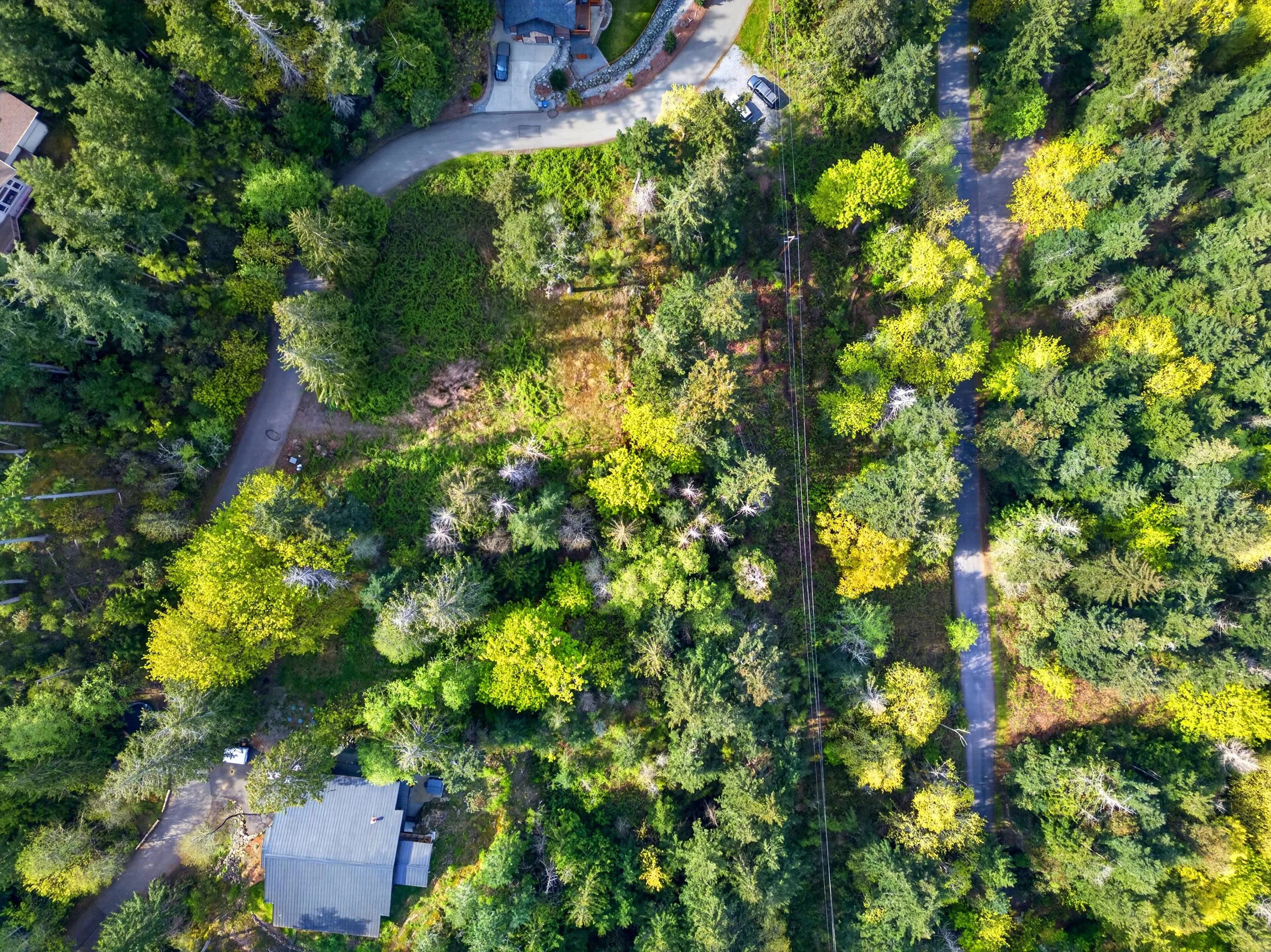 11927 madrona ridge place-7.jpg