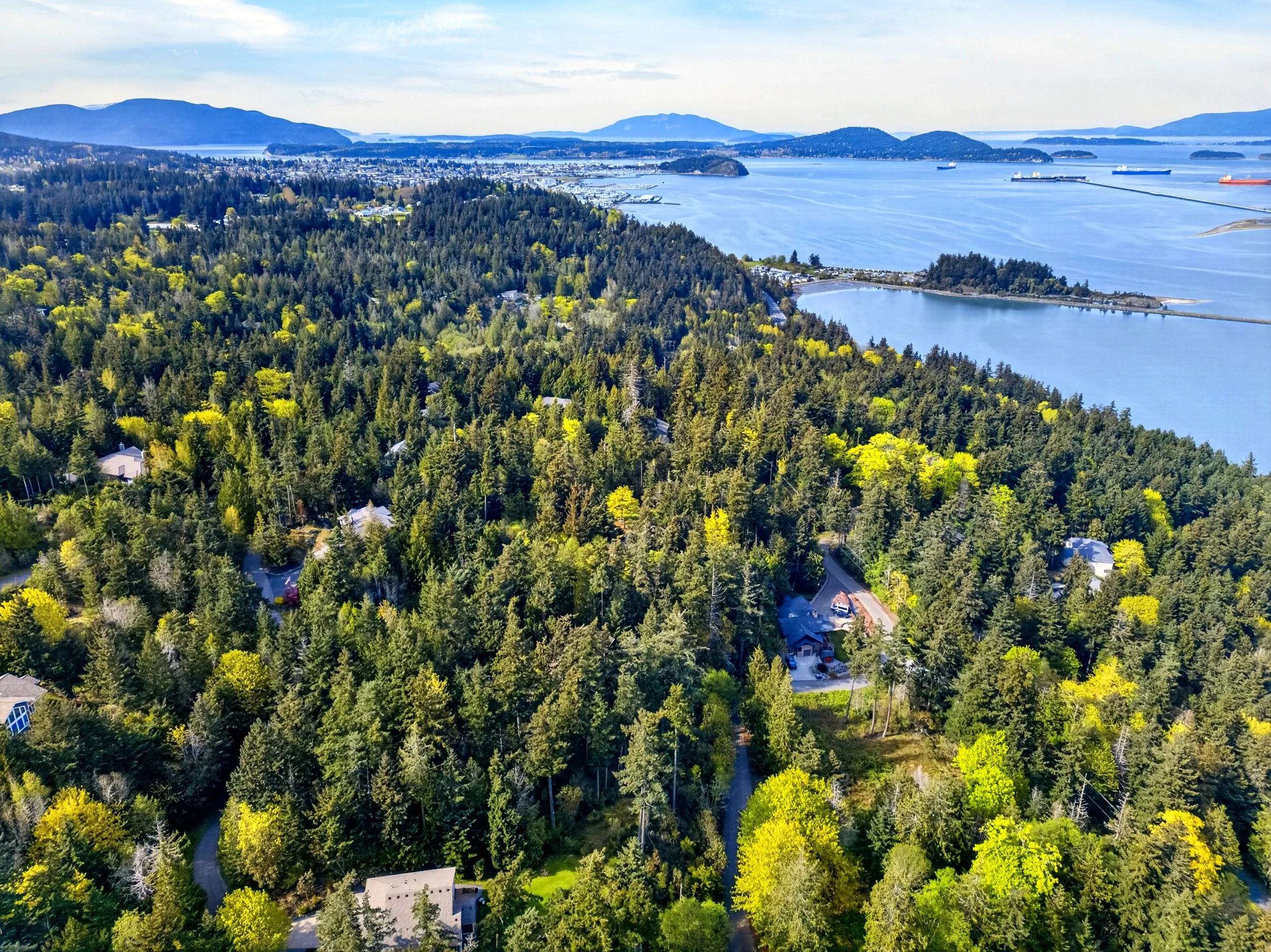 11927 madrona ridge place-12.jpg