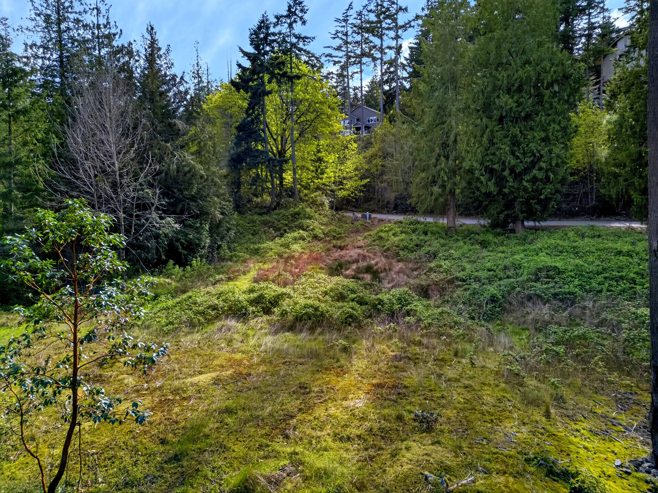 11927 madrona ridge place-13.jpg
