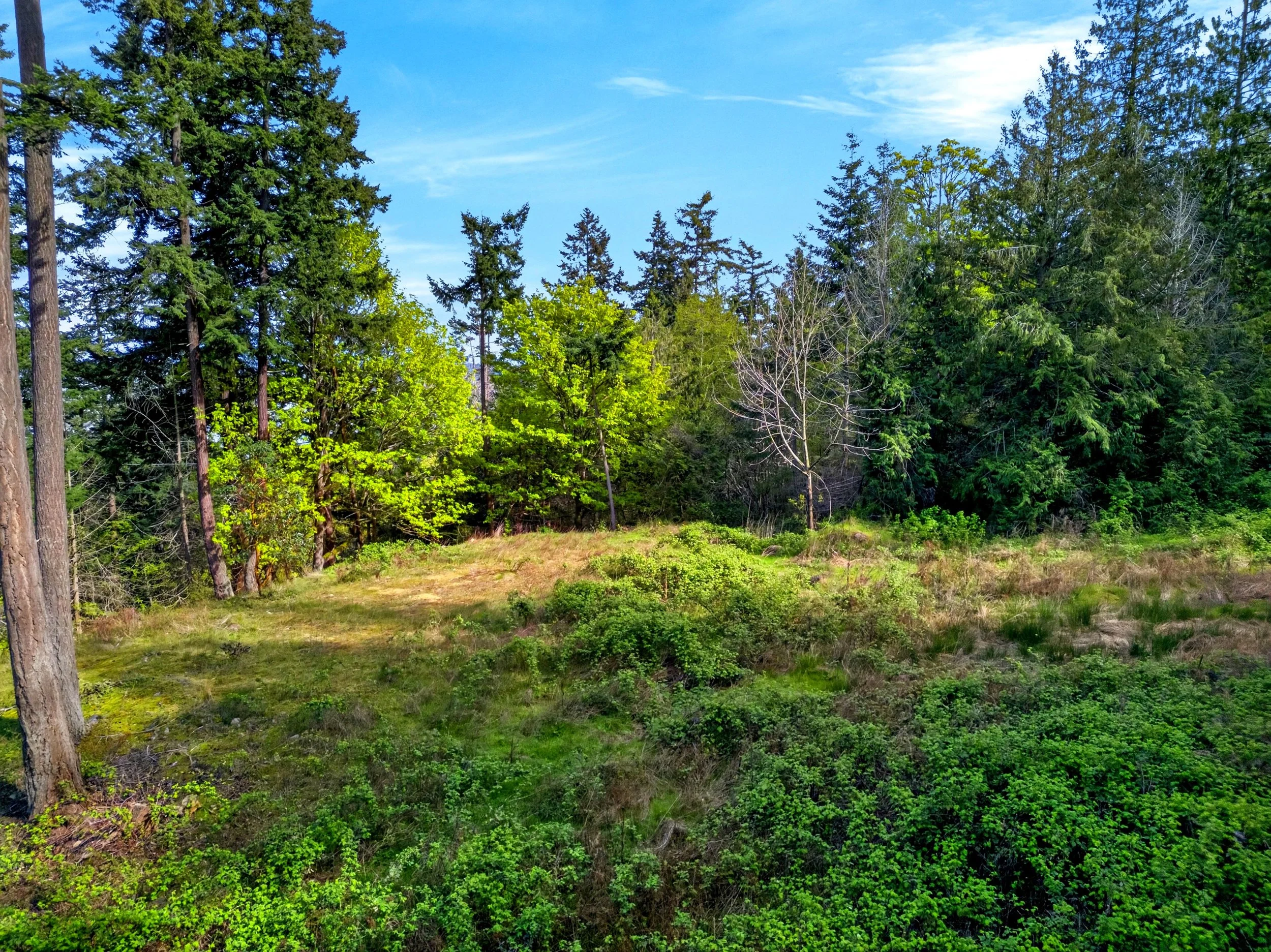 11927 madrona ridge place-14.jpg