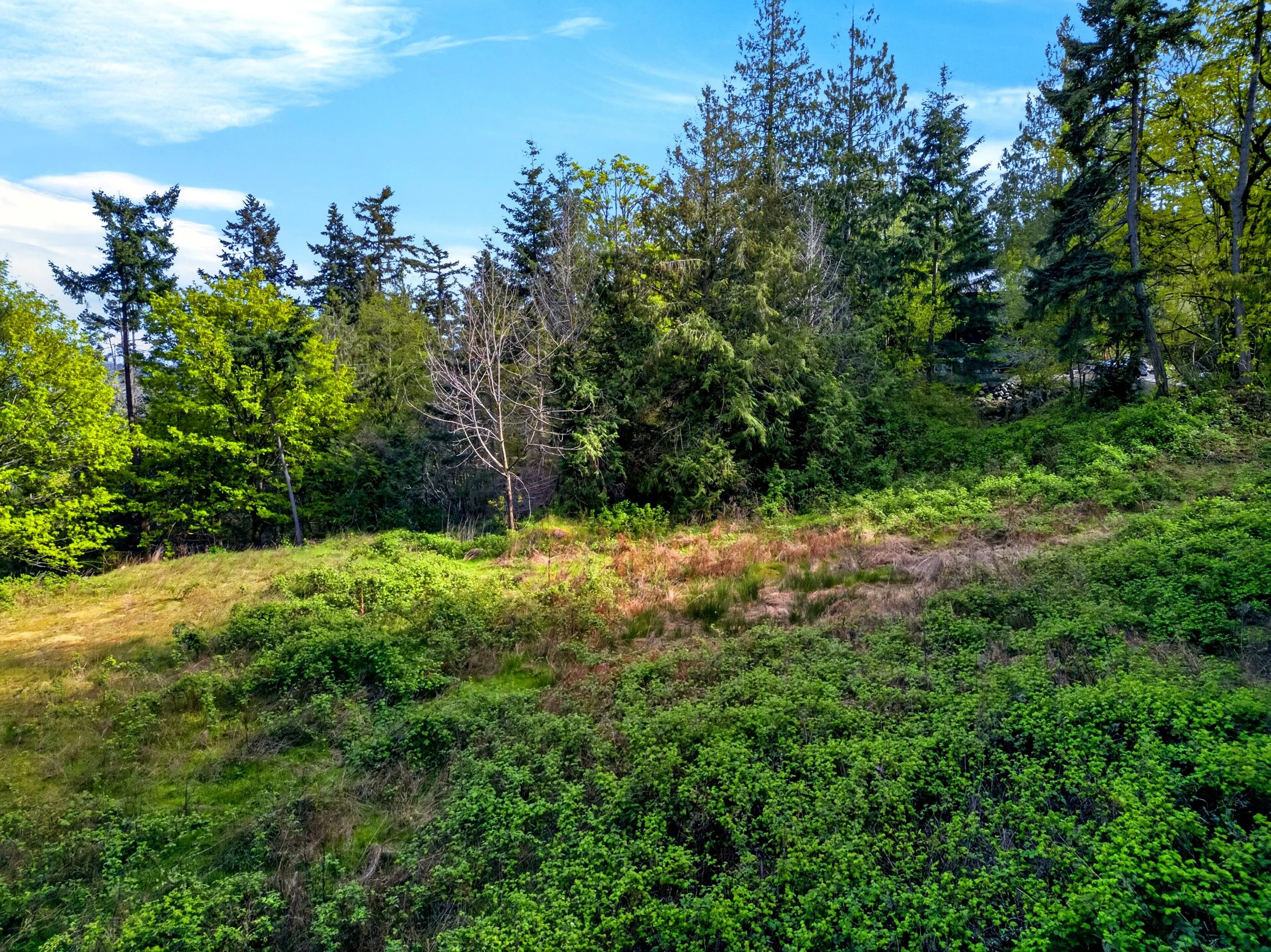 11927 madrona ridge place-15.jpg