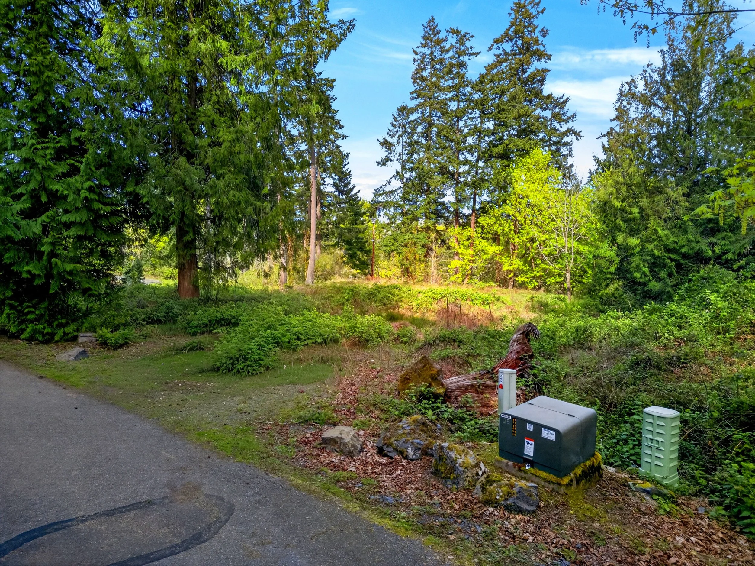 11927 madrona ridge place-17.jpg