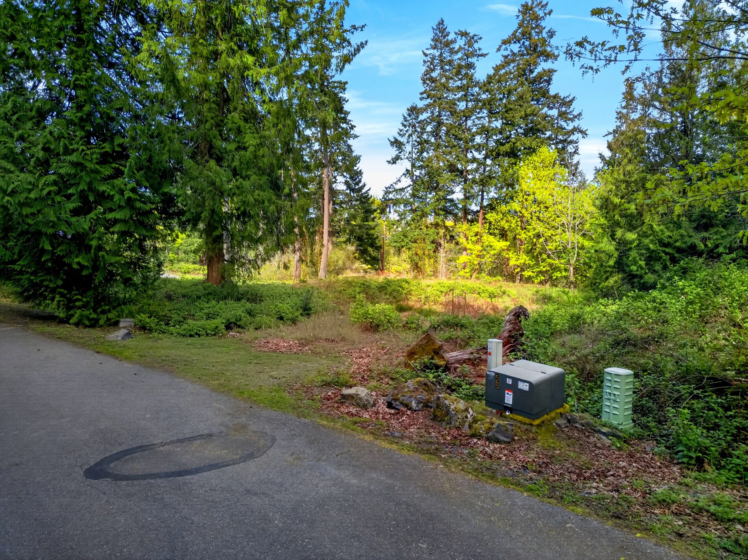 11927 madrona ridge place-18.jpg