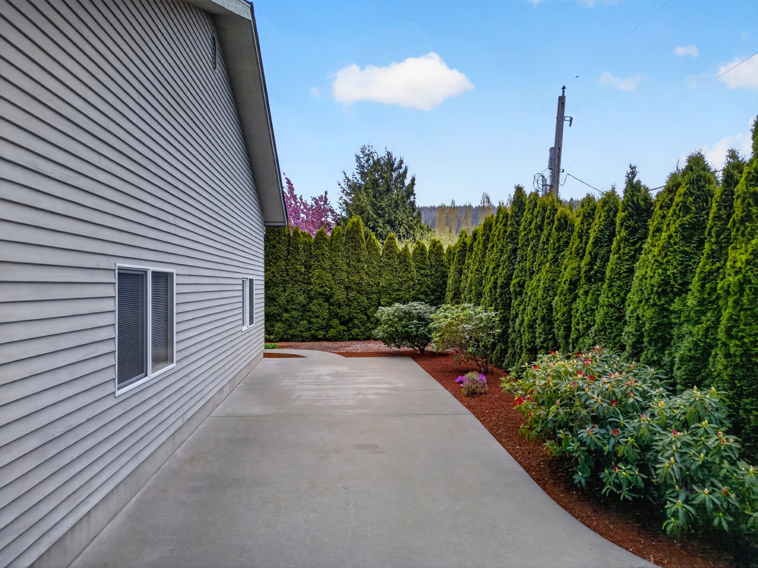 1019 Haddon rd-105.jpg