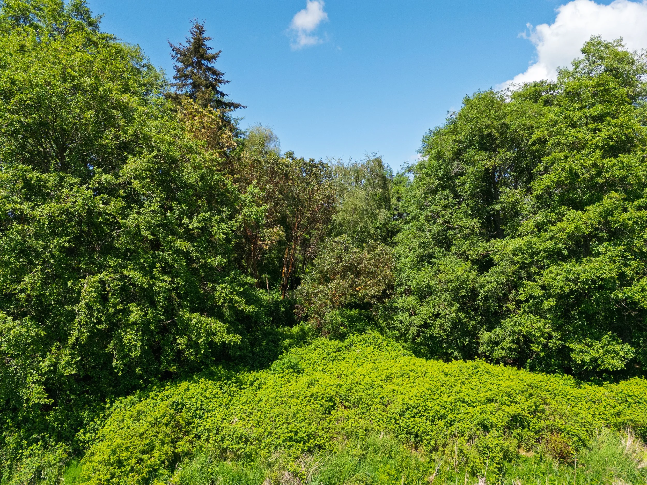 Soundview -12.jpg