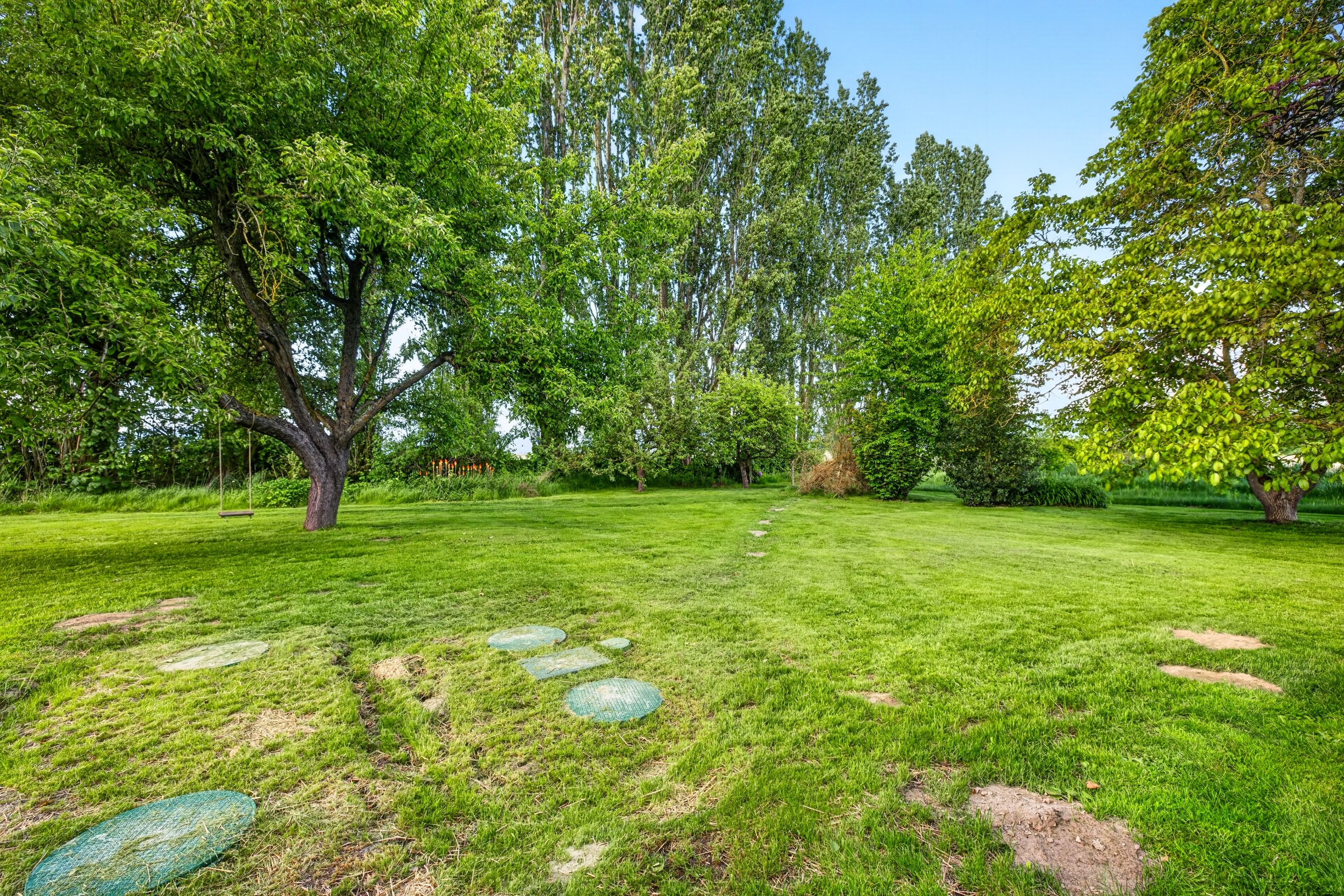 14419 T Loop Rd-48.jpg
