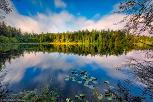 Heart Lake, Anacortes WA - Forested Living by the Lake and Forest Lands