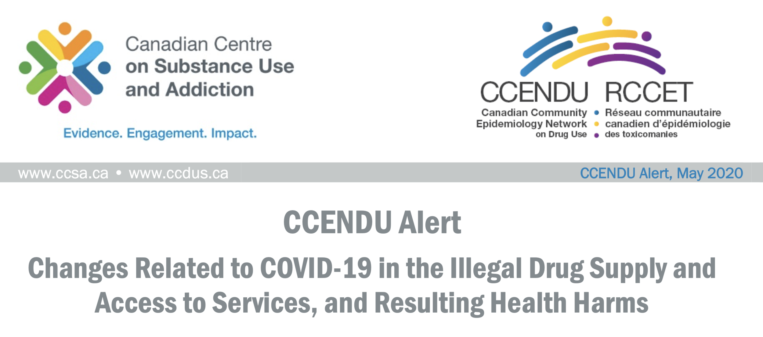 Changes Related to COVID-19 in the Illegal Drug Supply and Access to Services, and Resulting Health Harms