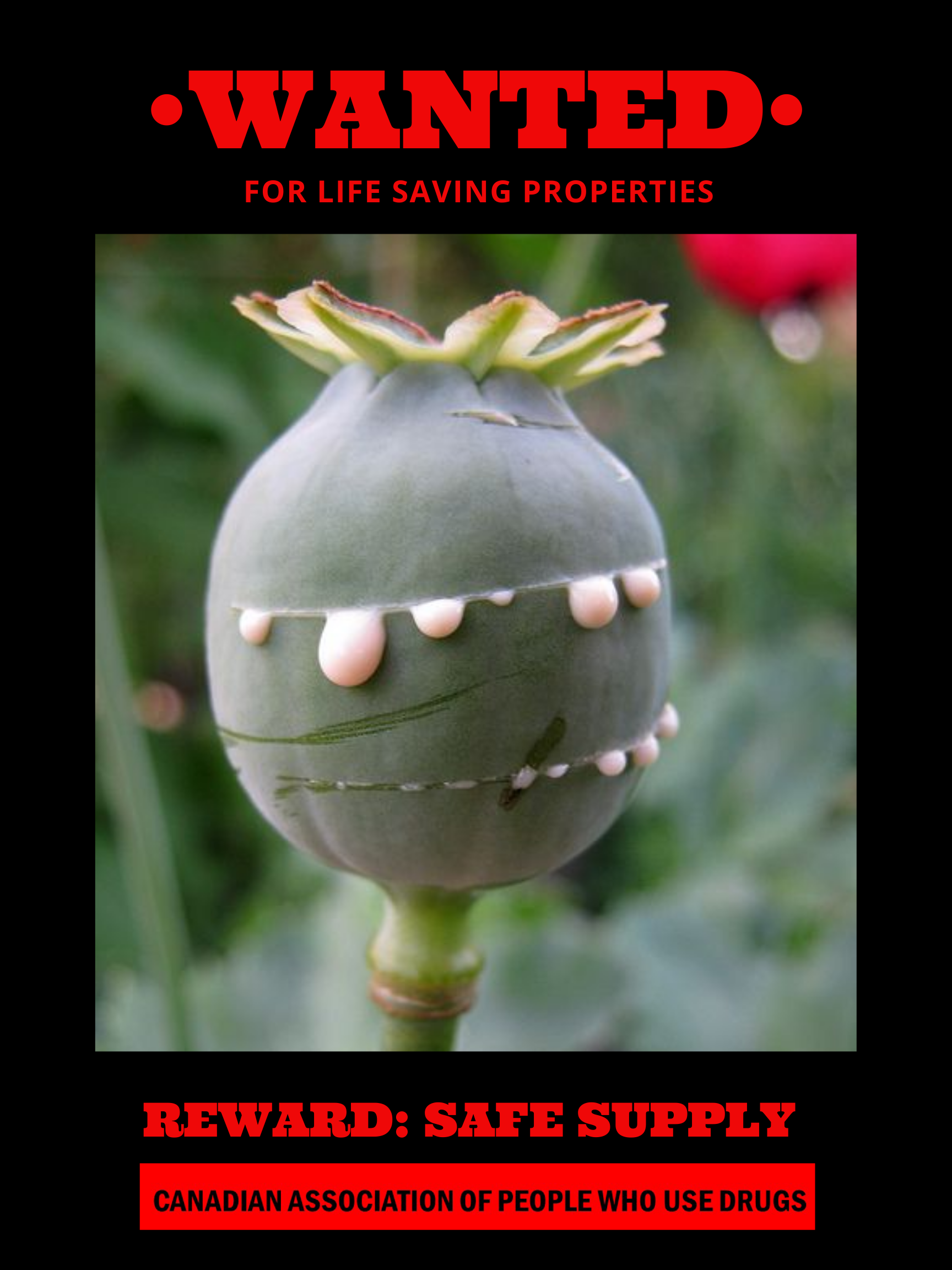 WANTED_ Safe Supply CAPUD.png