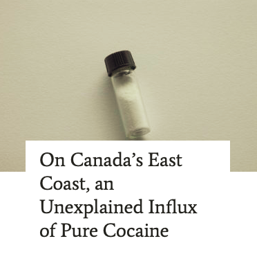 On Canada’s East Coast, an Unexplained Influx of Pure Cocaine