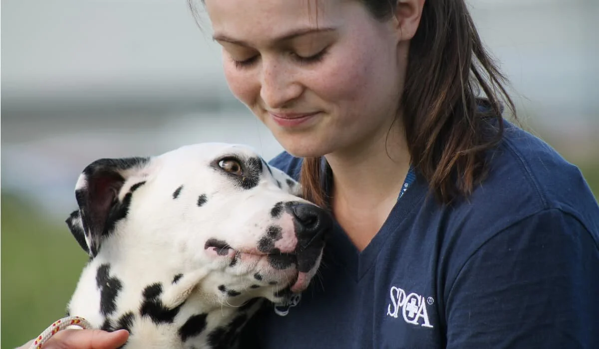 Rehome SPCA takes out the heritage &amp; environment category and the Wellington Airport Regional Awards